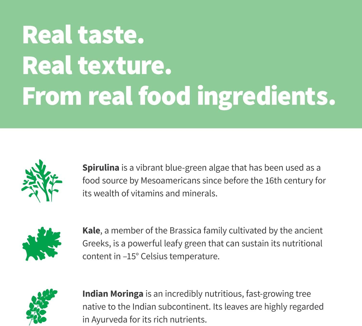 Sprout Living Epic Protein Green Kingdom - Organic Plant Based Protein Powder with Superfoods | 20g Protein, Vegan, Non-GMO, Gluten Free (1 lb, 12 Servings)