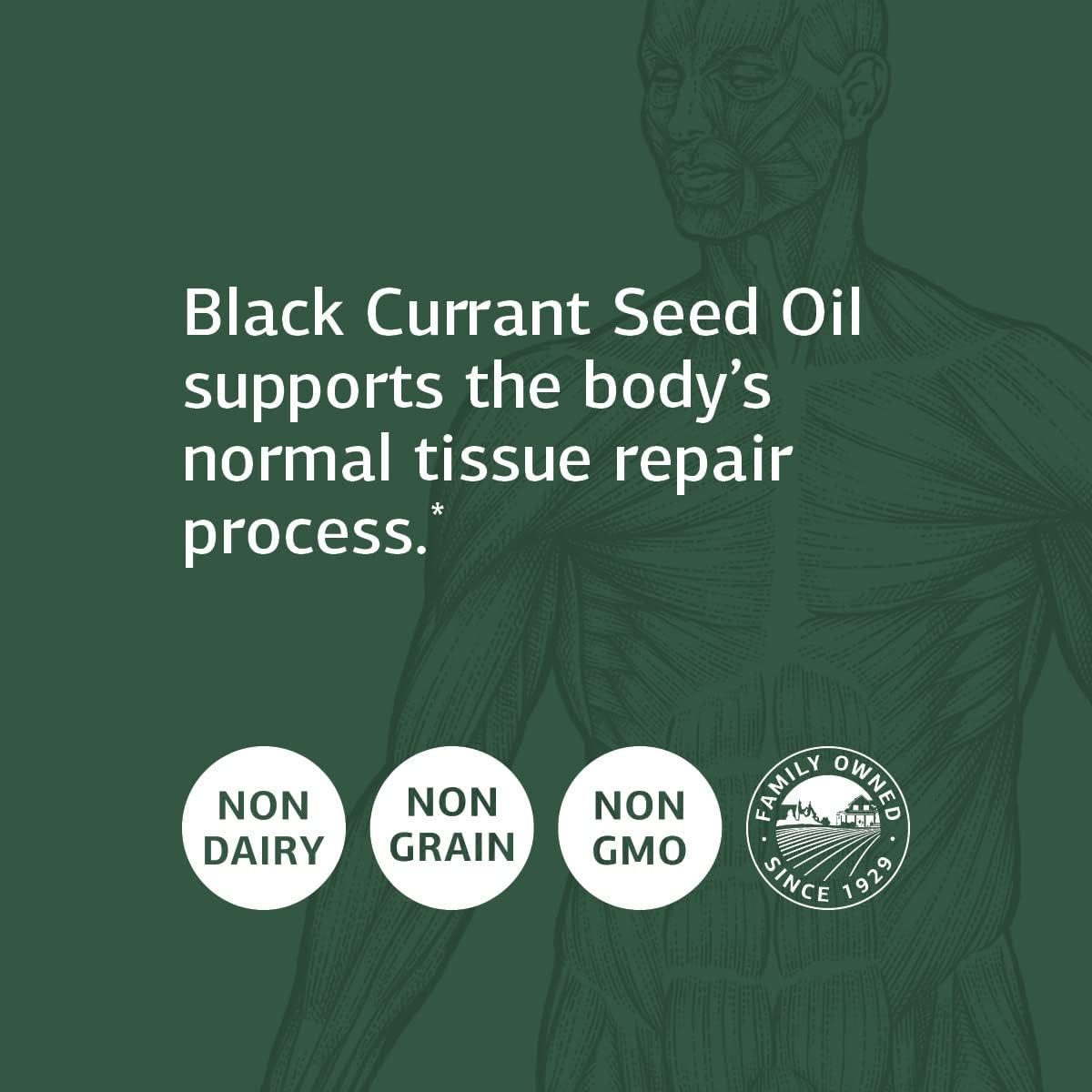 Standard Process Black Currant Seed Oil Softgels - Immune & Blood Flow Support with Whole-Food Blend - 180 Softgels