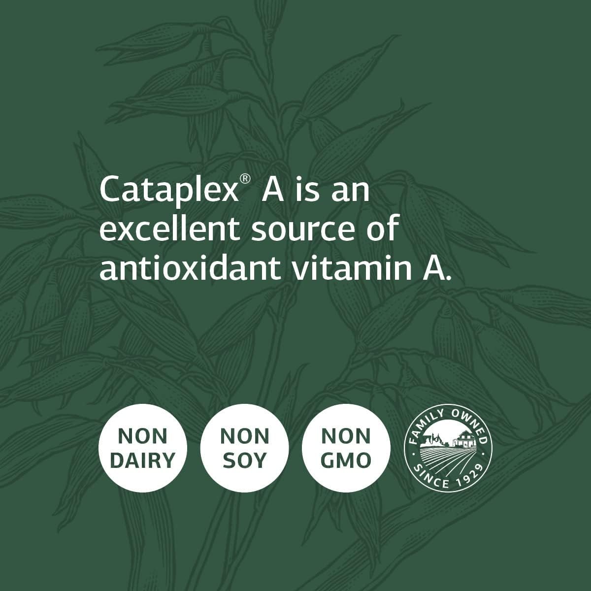 Standard Process Cataplex A - Antioxidant Supplement for Eye Health with Vitamin A - 180 Tablets