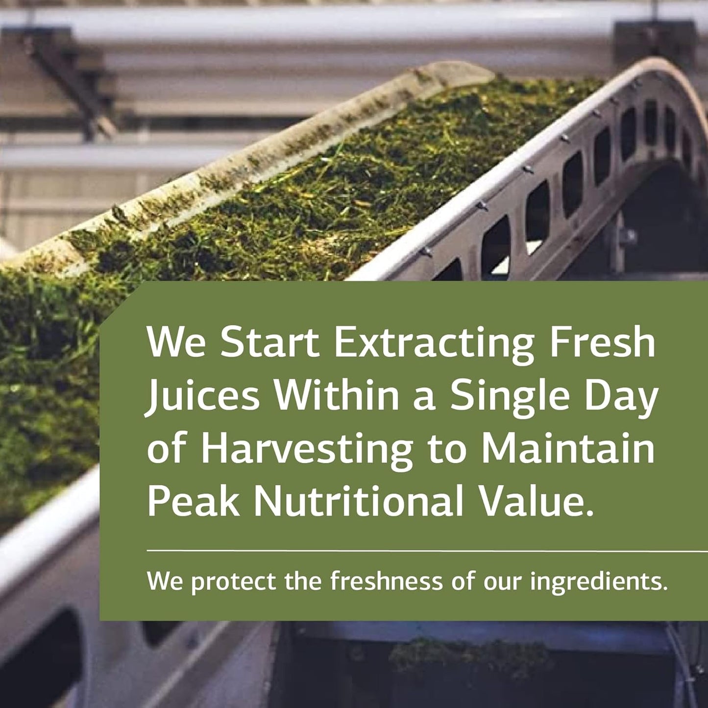 Standard Process Cataplex A - Antioxidant Supplement for Eye Health with Vitamin A - 180 Tablets