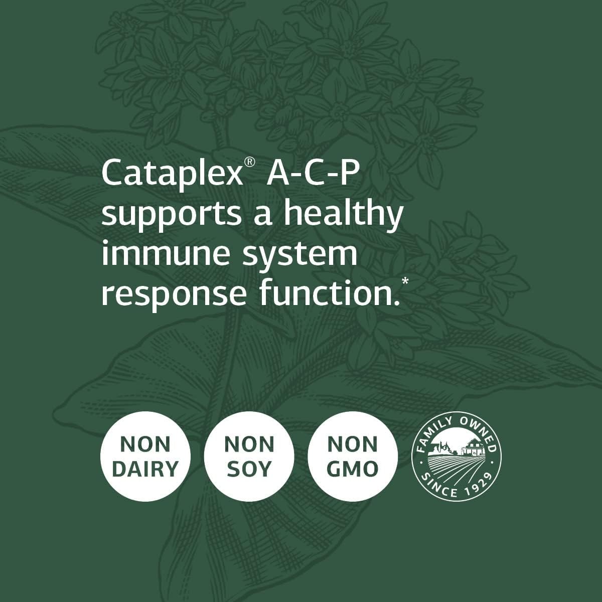 Standard Process Cataplex A-C-P Supplement for Heart, Gum, Immune, and Vascular Health - 180 Tablets