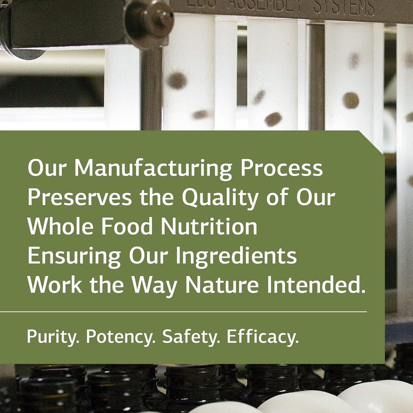 Standard Process Cataplex A-C-P Supplement for Heart, Gum, Immune, and Vascular Health - 180 Tablets