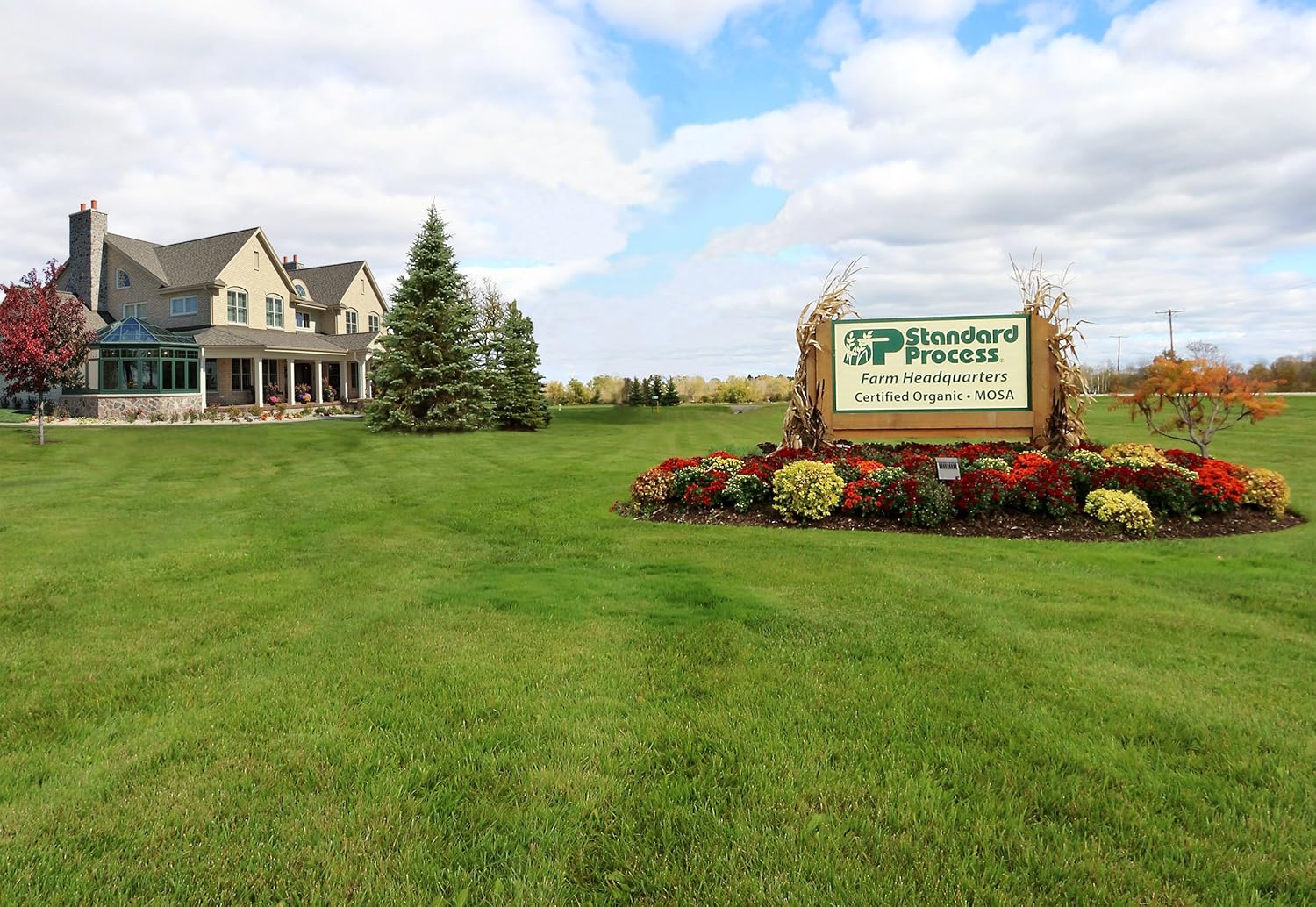 Standard Process Cataplex A-C-P Supplement for Heart, Gum, Immune, and Vascular Health - 180 Tablets