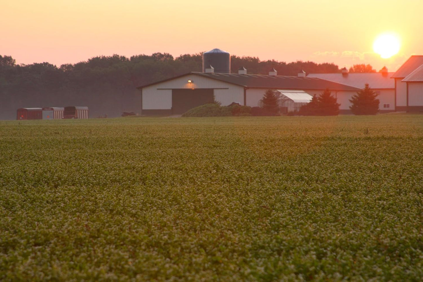 Standard Process Cataplex A-C-P Supplement for Heart, Gum, Immune, and Vascular Health - 180 Tablets