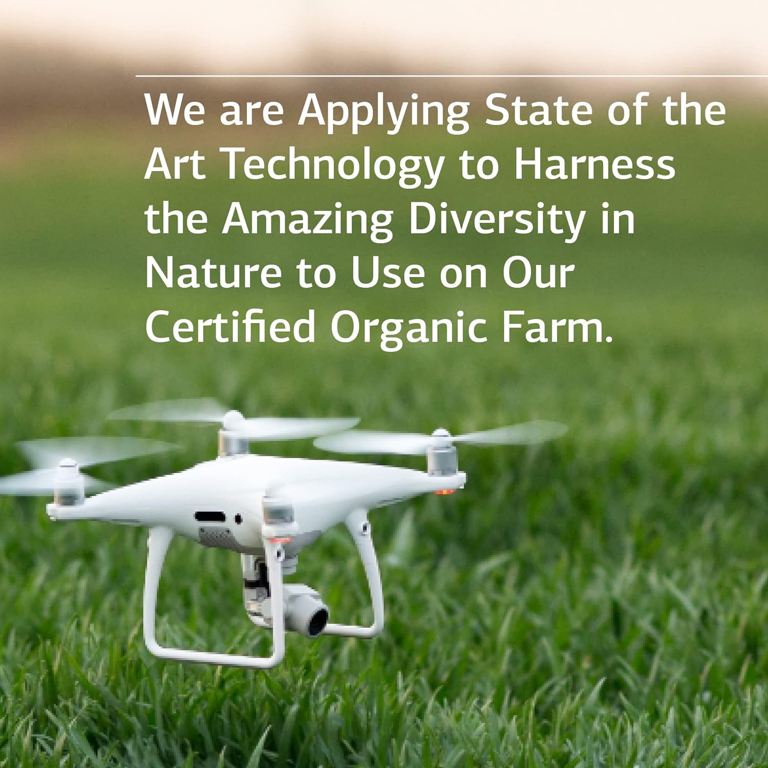 Standard Process Cataplex E - Whole Food RNA Supplement with D-Alpha Tocopherol Vitamin E, Beet Root, Ascorbic Acid, Inositol, Selenium, and Honey - 90 Tablets