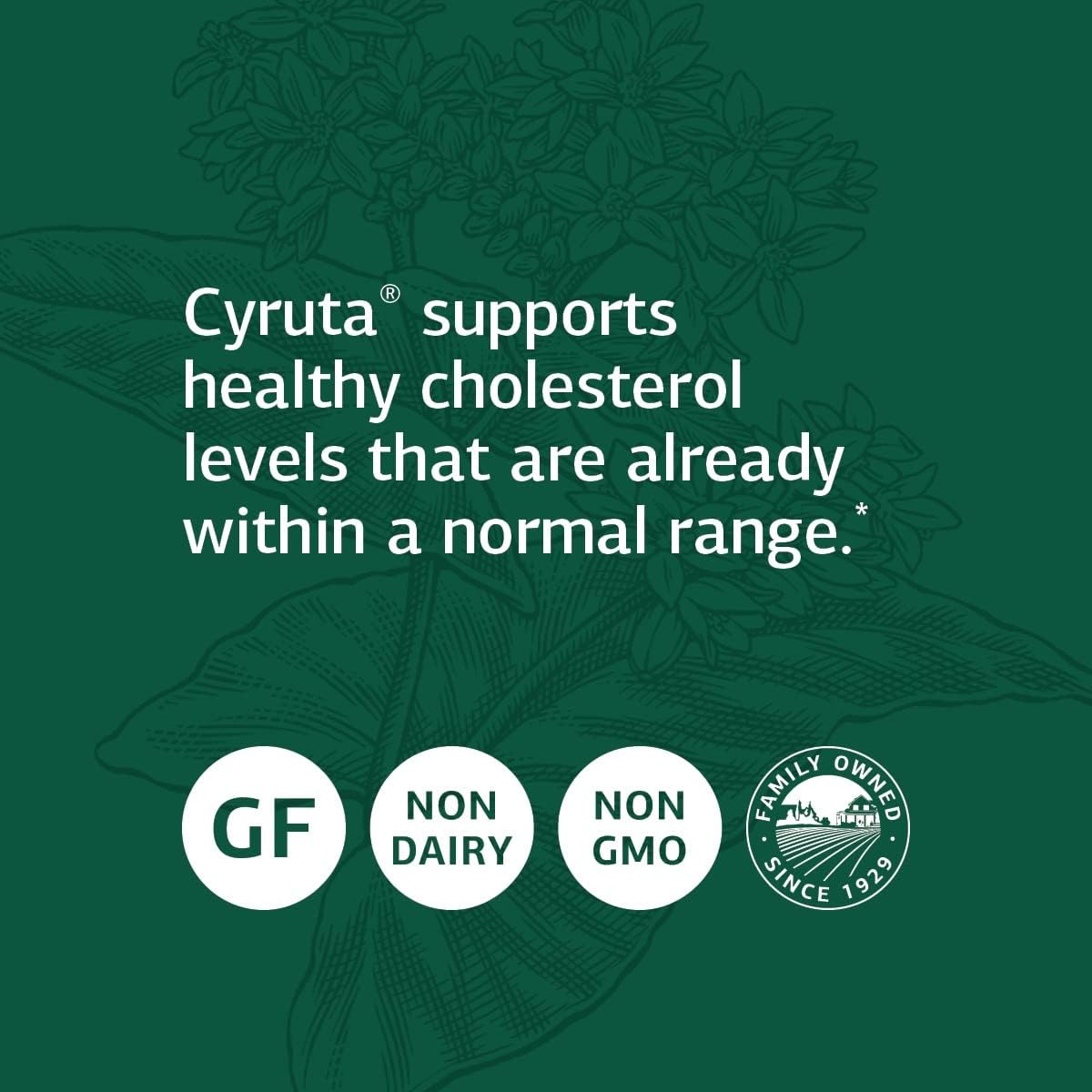 Standard Process Cyruta - Whole Food Supplement for Cholesterol, Immune, and Heart Health - 90 Tablets