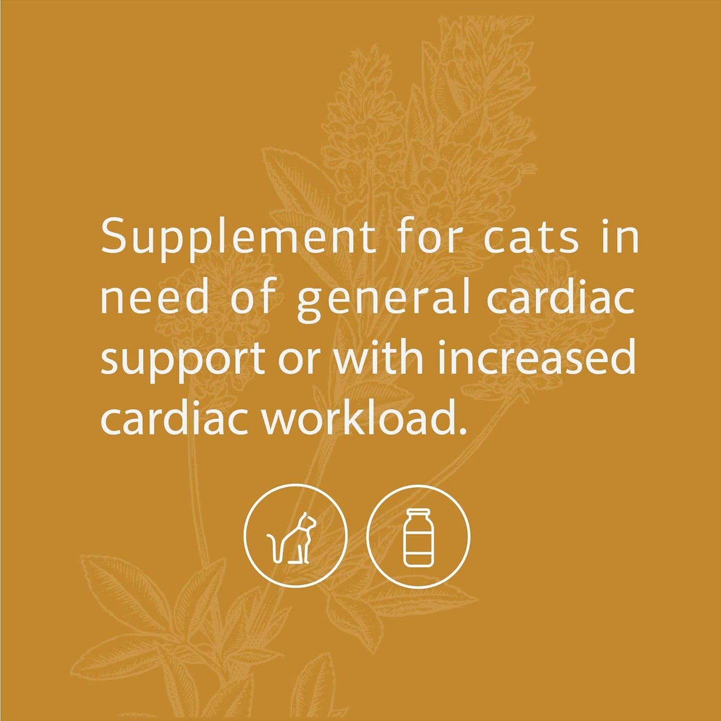 Standard Process Feline Cardiac Support Supplement - 90 Tablets - Heart Health & Function - Nutritional Supplement for Cats - Cardiovascular Support Tablet