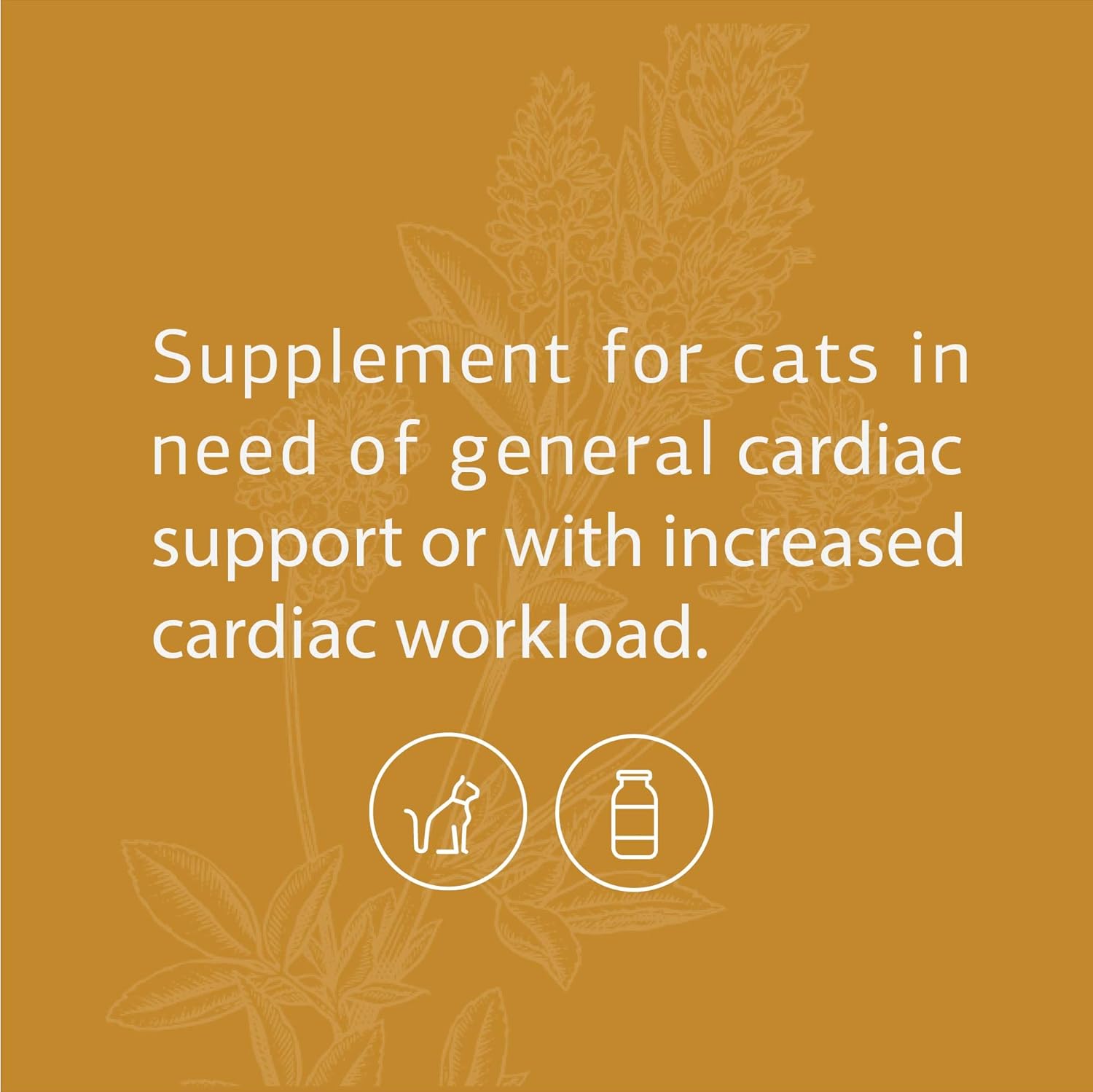 Standard Process Feline Cardiac Support Supplement - 90 Tablets - Heart Health & Function - Nutritional Supplement for Cats - Cardiovascular Support Tablet