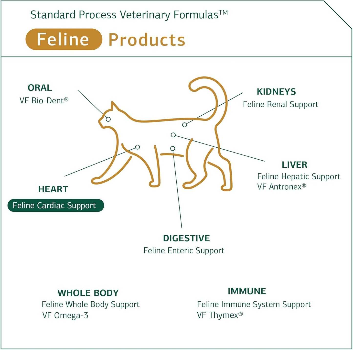 Standard Process Feline Cardiac Support Supplement - 90 Tablets - Heart Health & Function - Nutritional Supplement for Cats - Cardiovascular Support Tablet