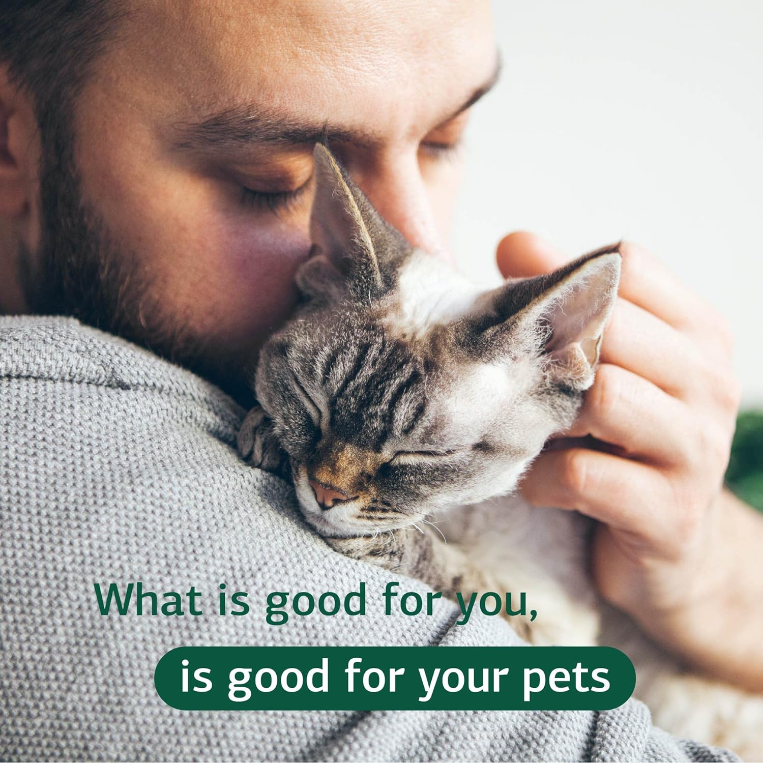 Standard Process Feline Cardiac Support Supplement - 90 Tablets - Heart Health & Function - Nutritional Supplement for Cats - Cardiovascular Support Tablet