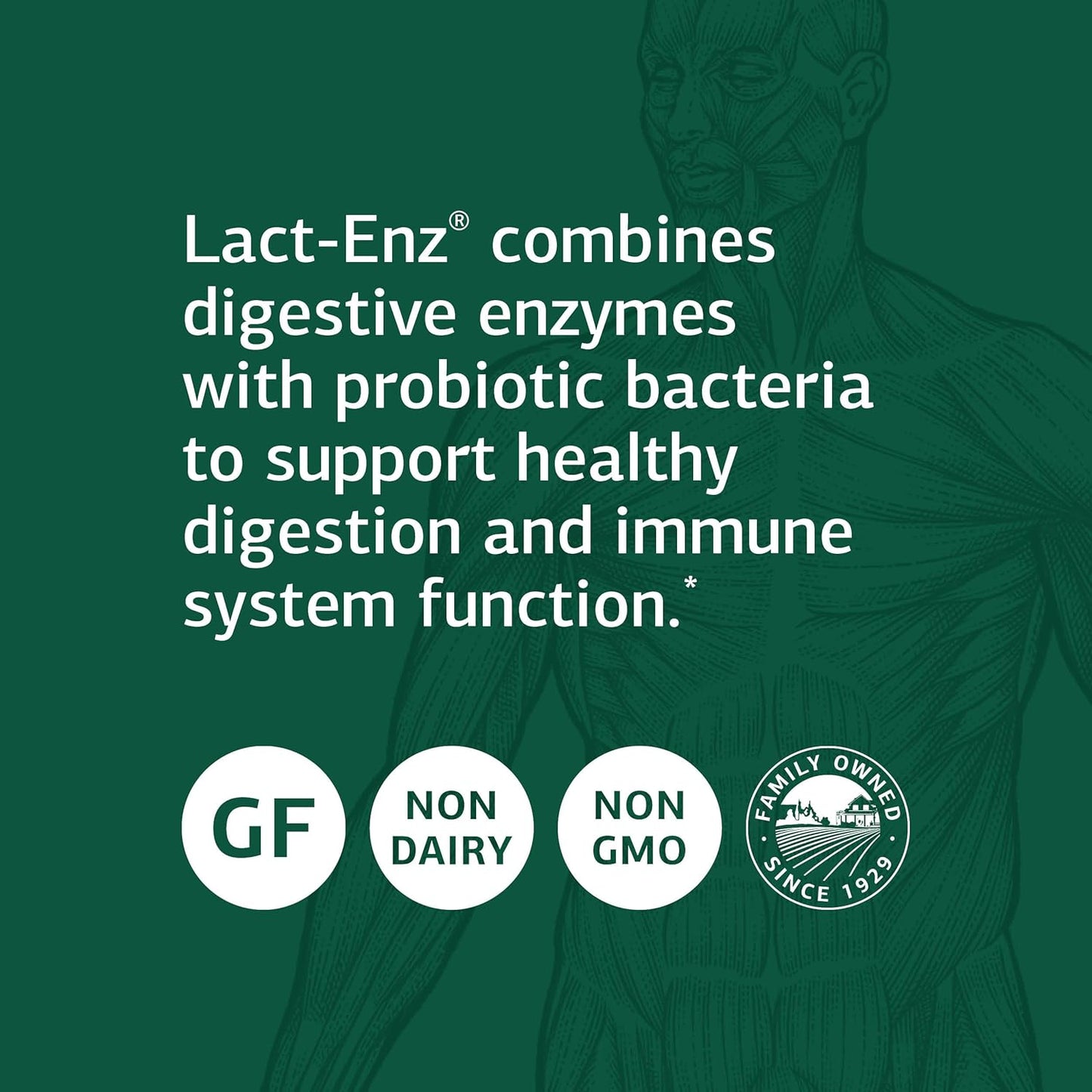 Standard Process Lact-ENZ Capsules - Whole Food Immune Support and Digestive Health with Probiotics and Enzymes - 90 Count