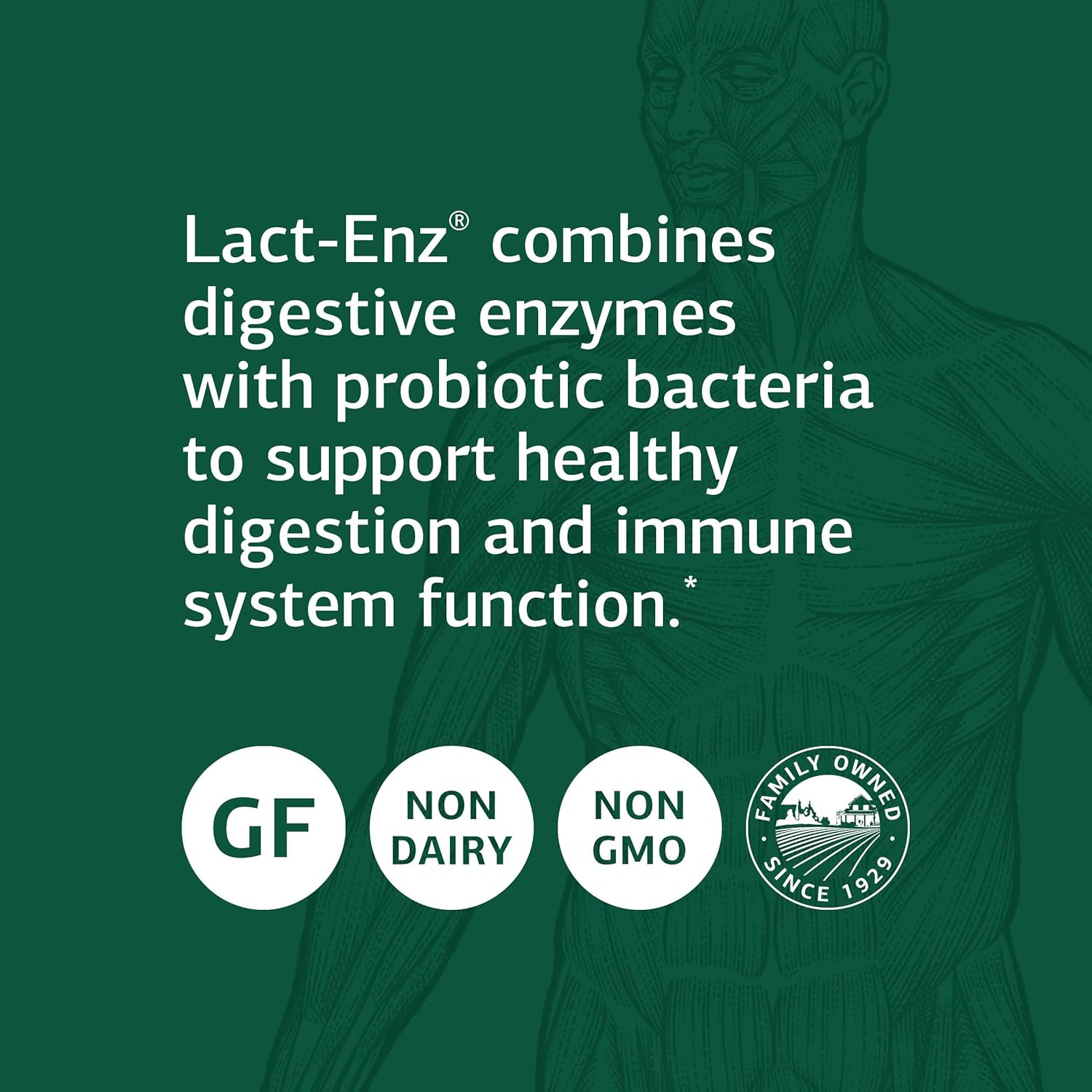 Standard Process Lact-ENZ Capsules - Whole Food Immune Support and Digestive Health with Probiotics and Enzymes - 90 Count