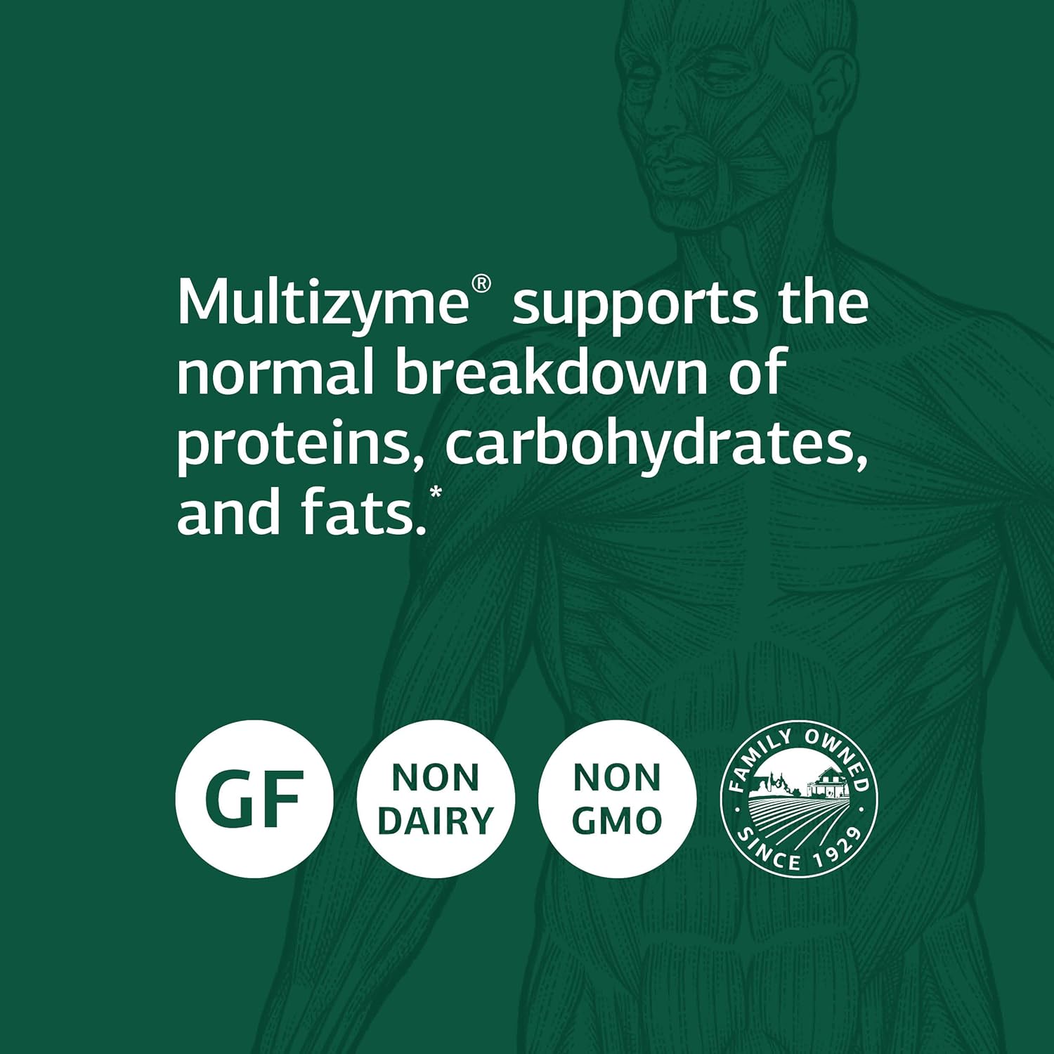 Standard Process Multizyme Capsules - Whole Food Pancreas Support with Pancreatin Digestive Enzymes - 90 Capsules