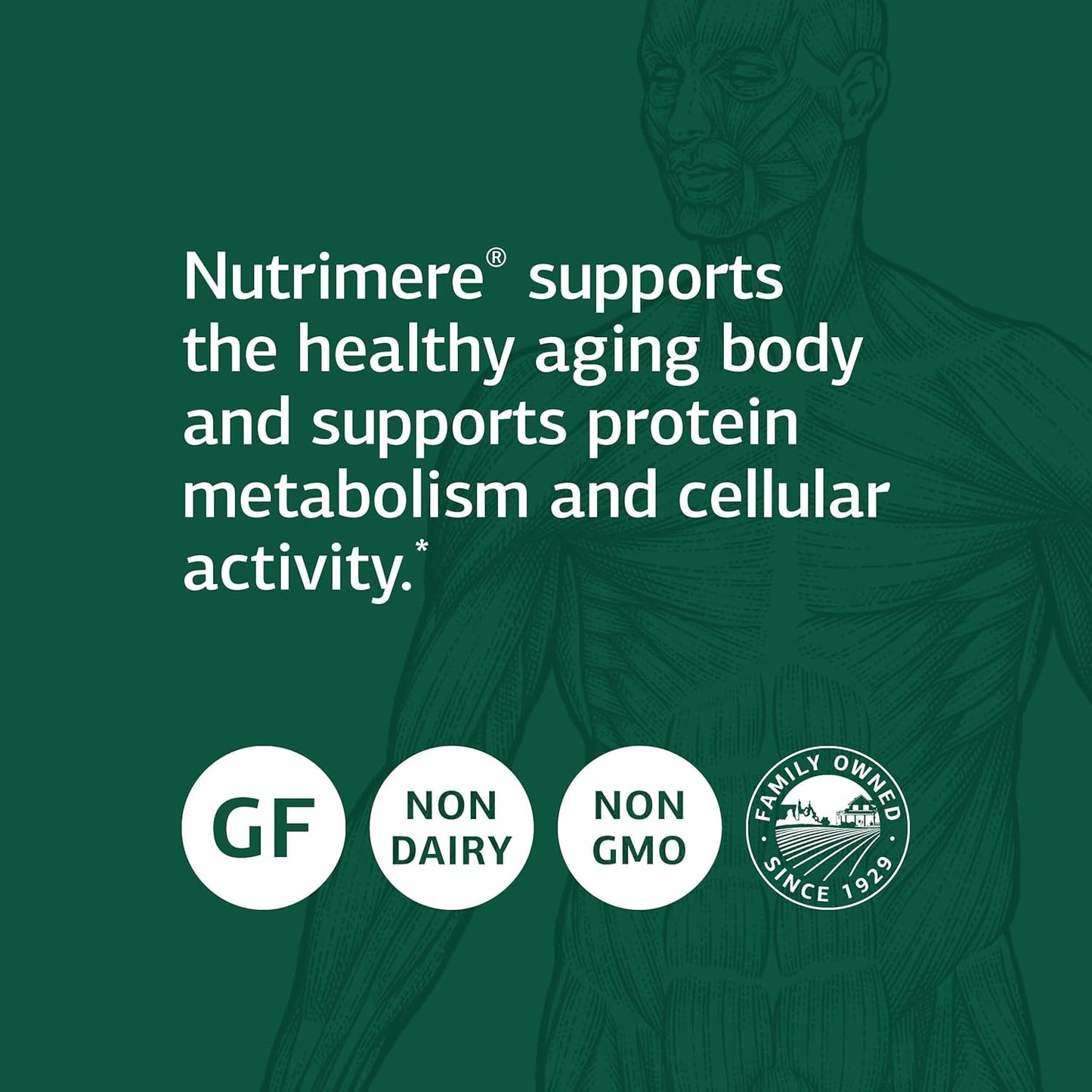 Standard Process Nutrimere Capsules - Whole Food Vitality & Metabolism Boost - Green Lipped Mussel, Organic Carrot, & Sweet Potato - Gluten Free - 90ct