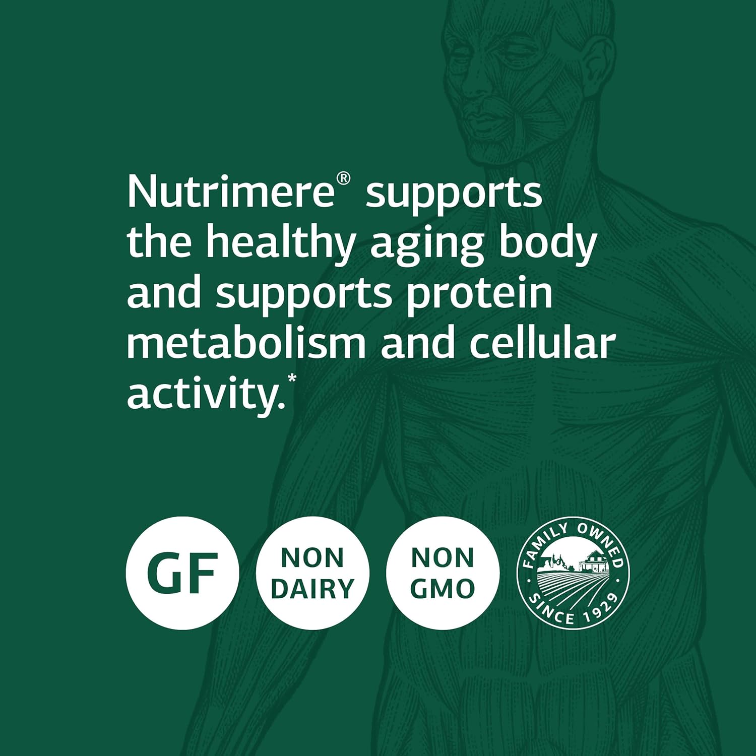 Standard Process Nutrimere Capsules - Whole Food Vitality & Metabolism Boost - Green Lipped Mussel, Organic Carrot, & Sweet Potato - Gluten Free - 90ct