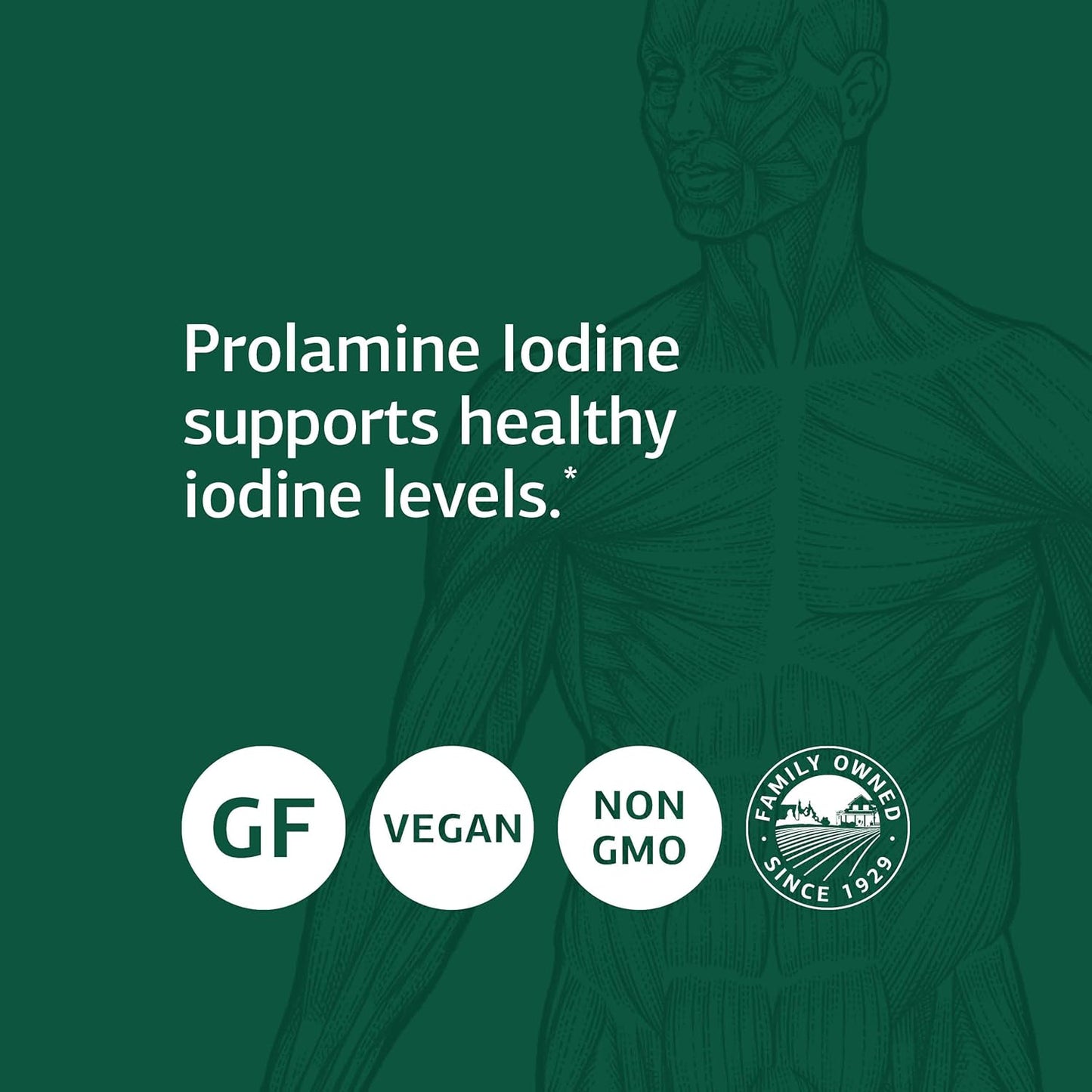 Standard Process Prolamine Iodine: Thyroid Support Tablets with Calcium & Magnesium - 90 Count