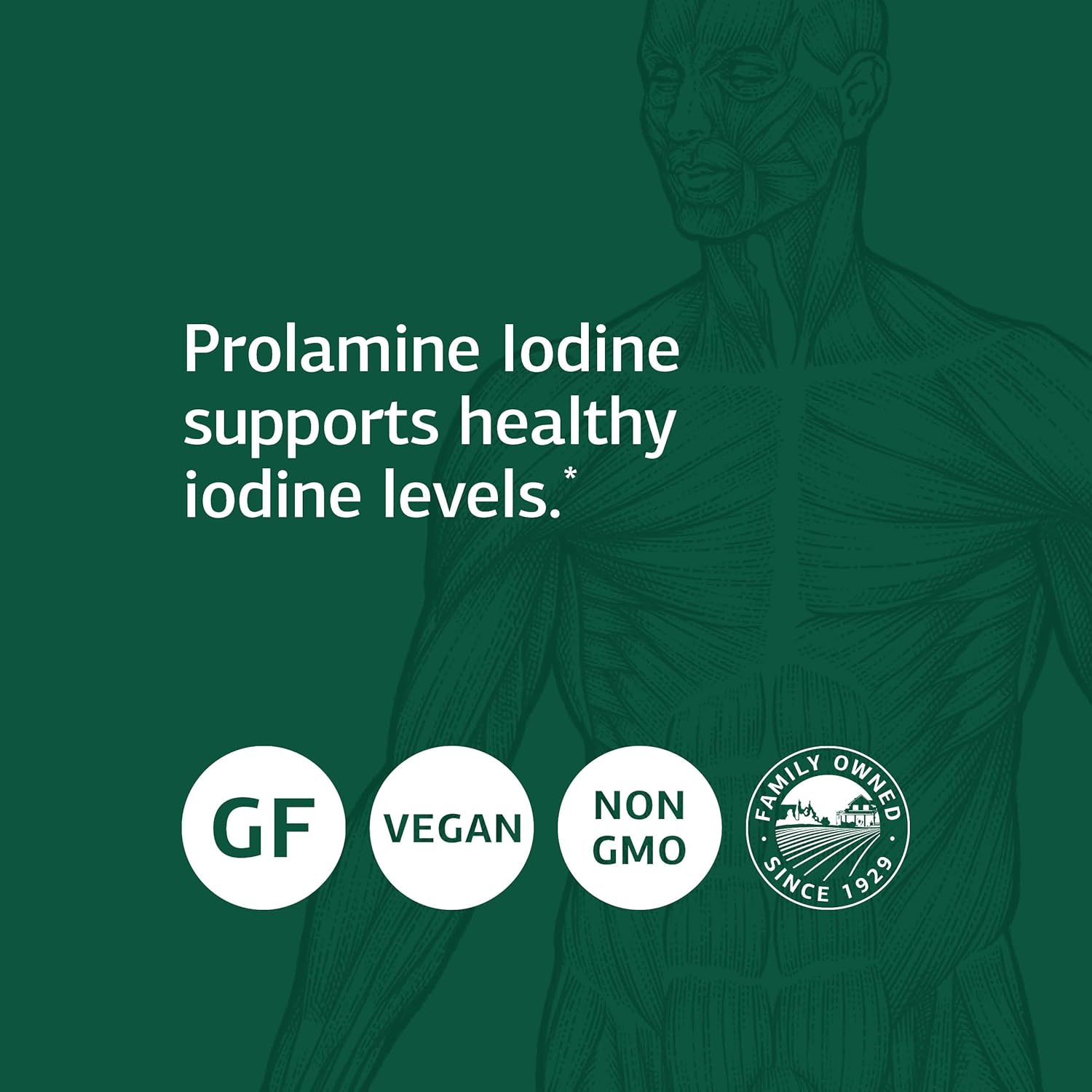 Standard Process Prolamine Iodine: Thyroid Support Tablets with Calcium & Magnesium - 90 Count