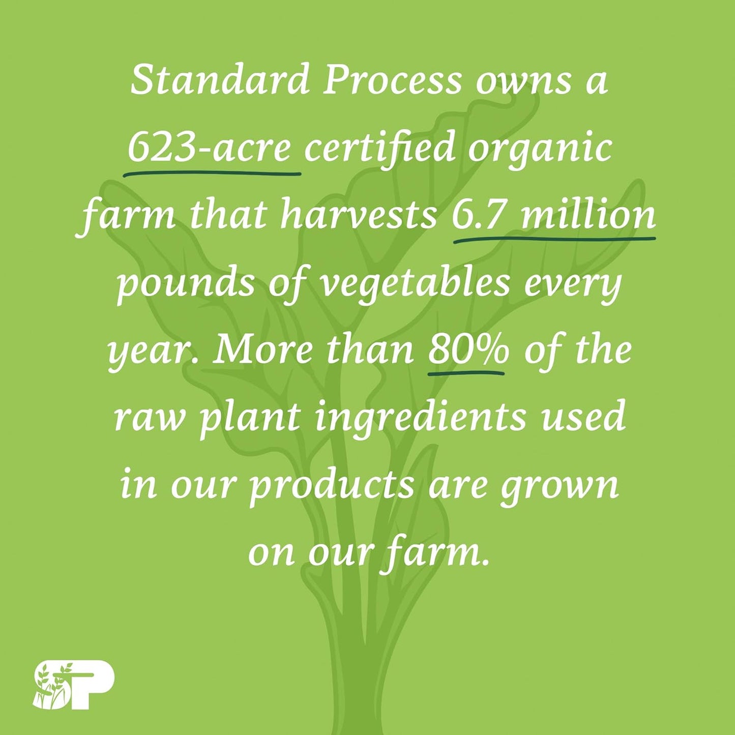 Standard Process StandardBar: Gluten-Free Whole Food Protein Bar with Calcium, Potassium - Vegetarian - 18 Bars - Berry Flavor