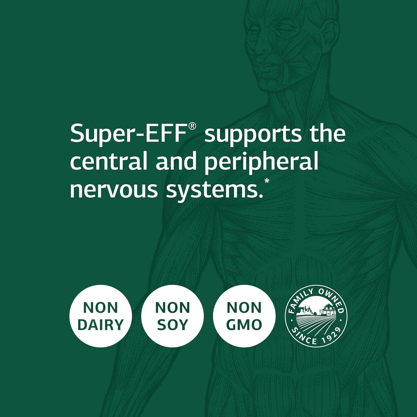 Standard Process Super-EFF Capsules - Natural Energy Boost with Flaxseed Oil and Spanish Moss - 90 Count