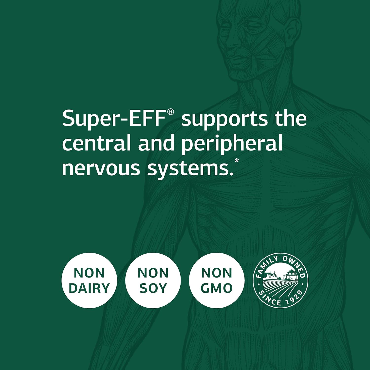Standard Process Super-EFF Capsules - Natural Energy Boost with Flaxseed Oil and Spanish Moss - 90 Count