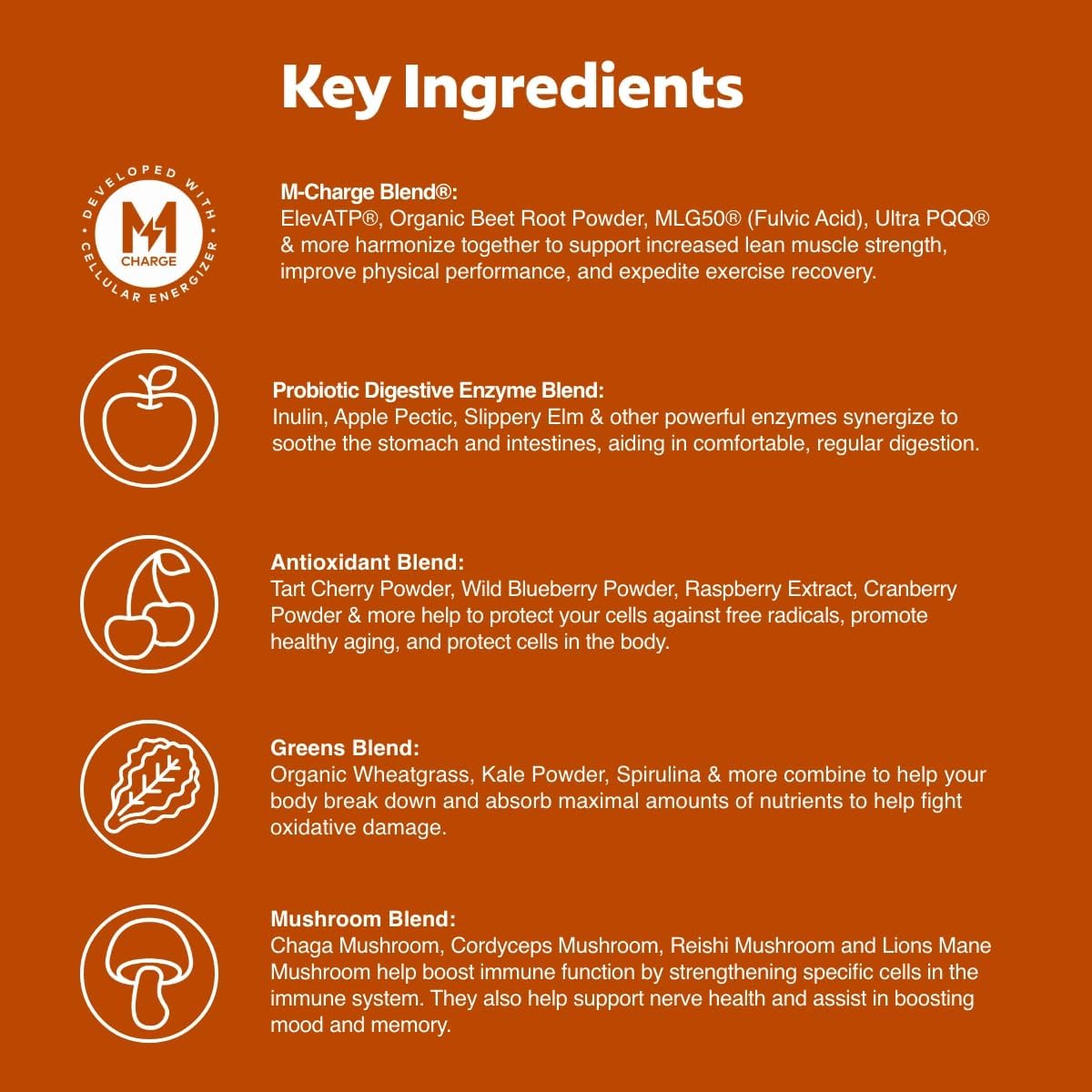 Steve Harvey's L'Evate You Vitality Daily Greens Powder - 30 Superfoods, 9 Greens, M-Charge Complex (Chocolate)