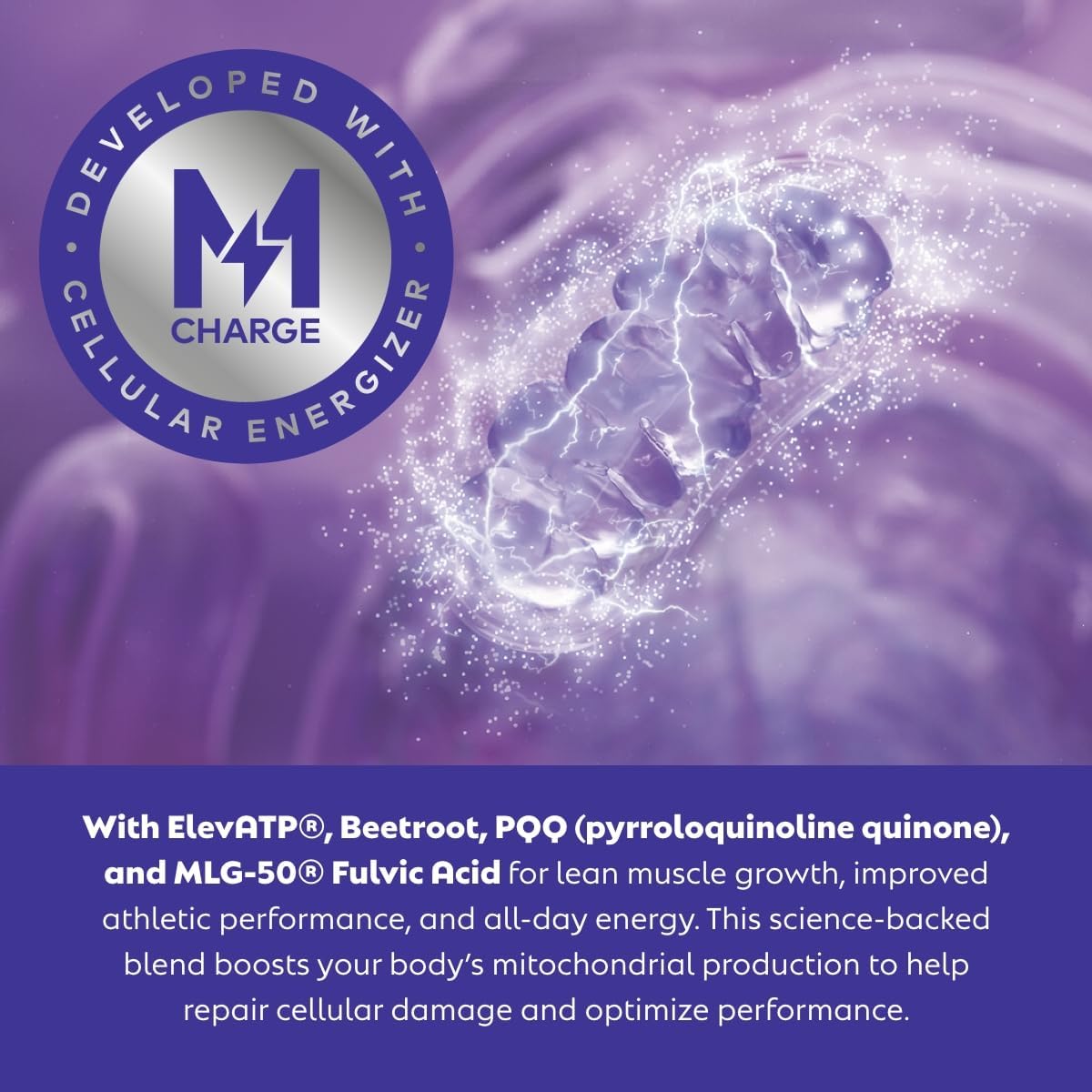 Steve Harvey's L'Evate You Vitality Daily Greens Powder - 30 Superfoods, 9 Greens, M-Charge Complex (Chocolate)