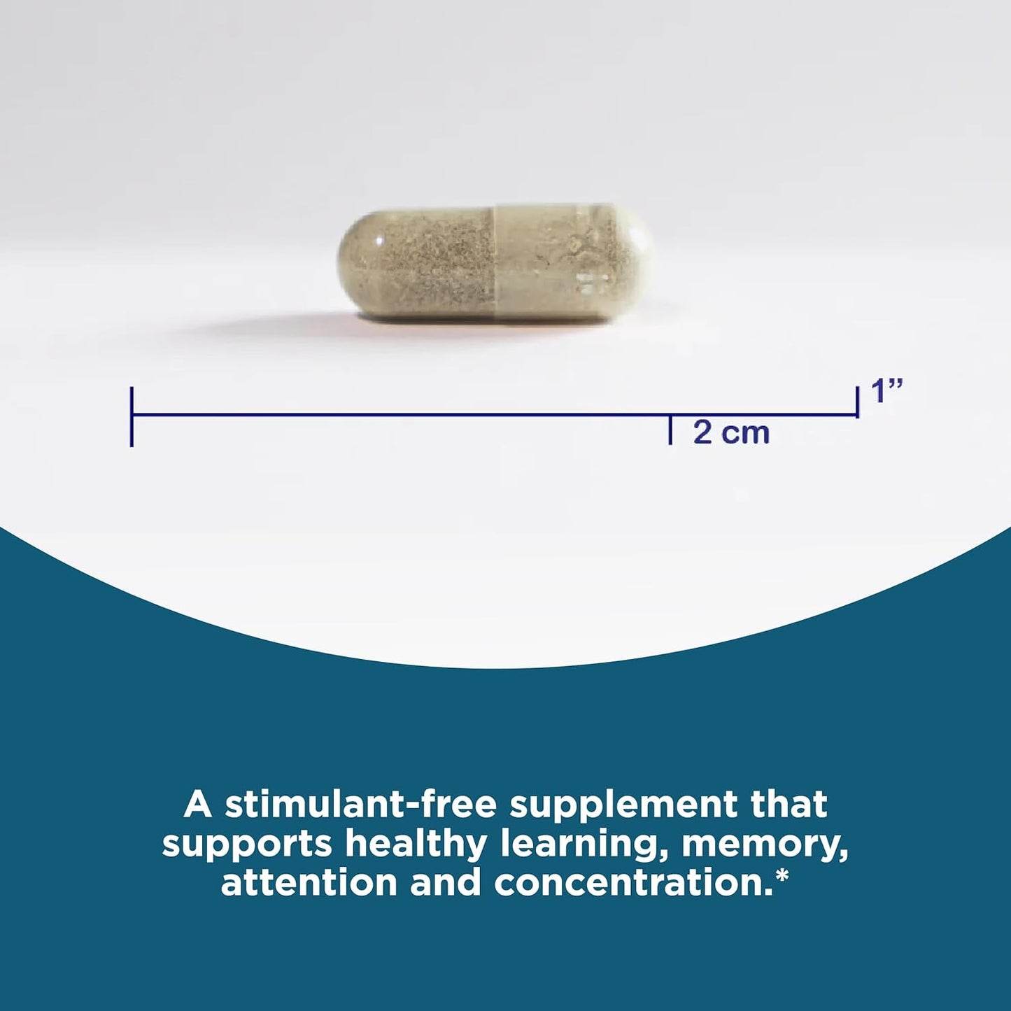 Stimulant-Free Nootropic Support for Memory and Focus with Choline, DHA, and Ginseng - Vegan - 90 Capsules