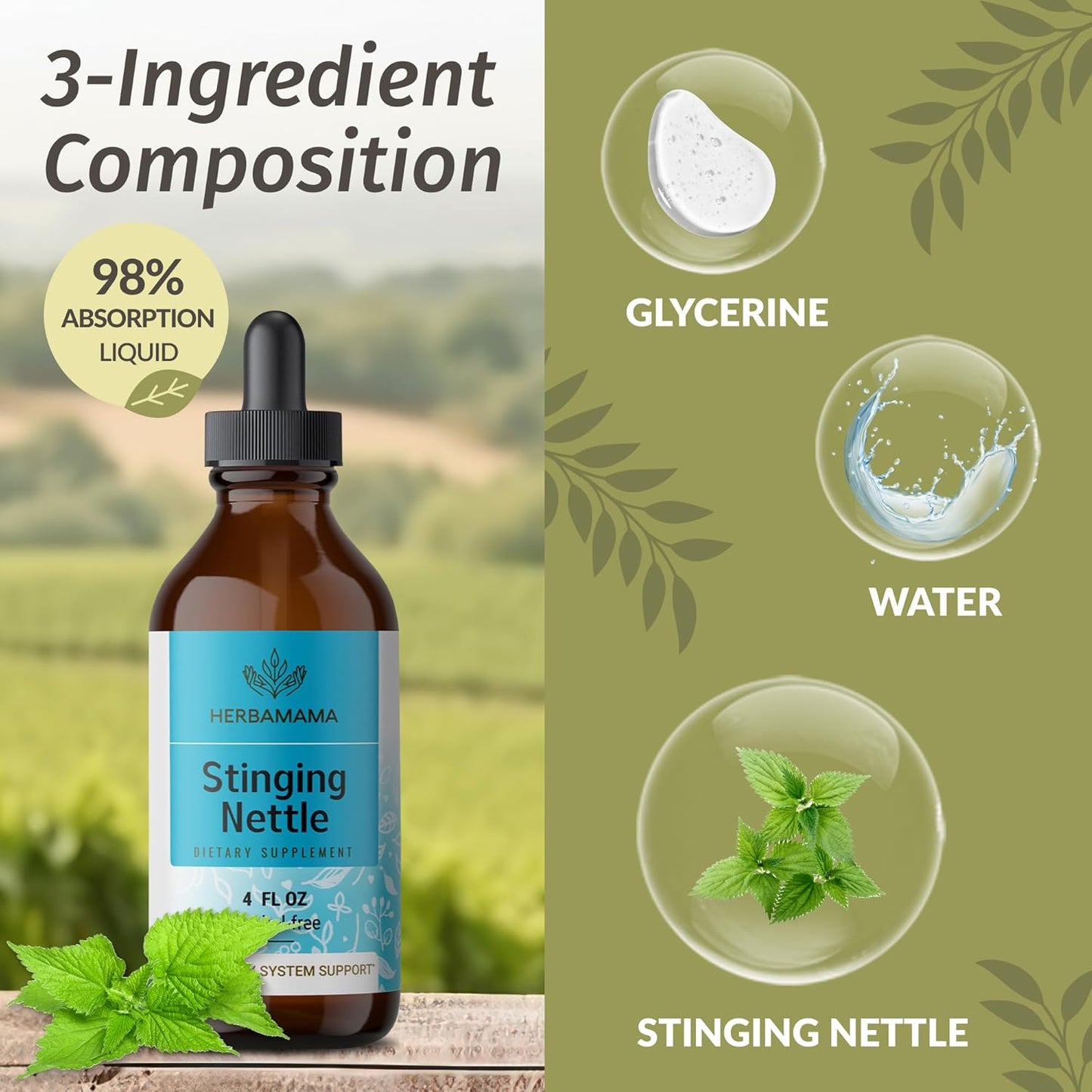 Stinging Nettle and Dandelion Root Herbal Liquid Drops Bundle - 4 fl oz Tinctures, Vegan & Non-GMO - Sugar & Alcohol-Free - 2 Pack