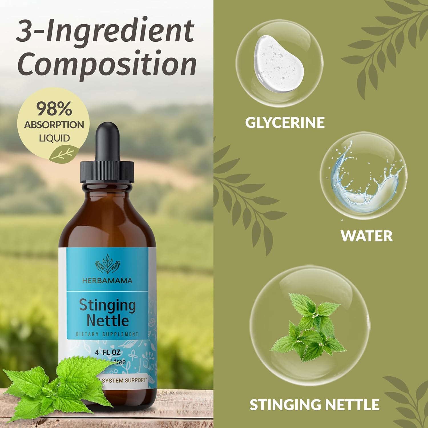 Stinging Nettle and Dandelion Root Herbal Liquid Drops Bundle - 4 fl oz Tinctures, Vegan & Non-GMO - Sugar & Alcohol-Free - 2 Pack