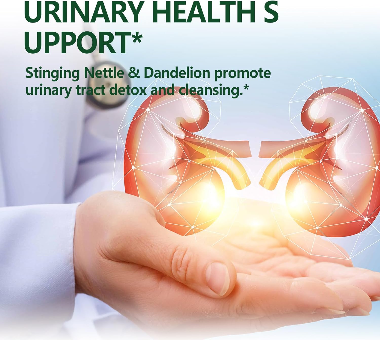 Stinging Nettle Quercetin Turmeric Drops for Allergy, Urinary Health & Immunity Support - 2oz