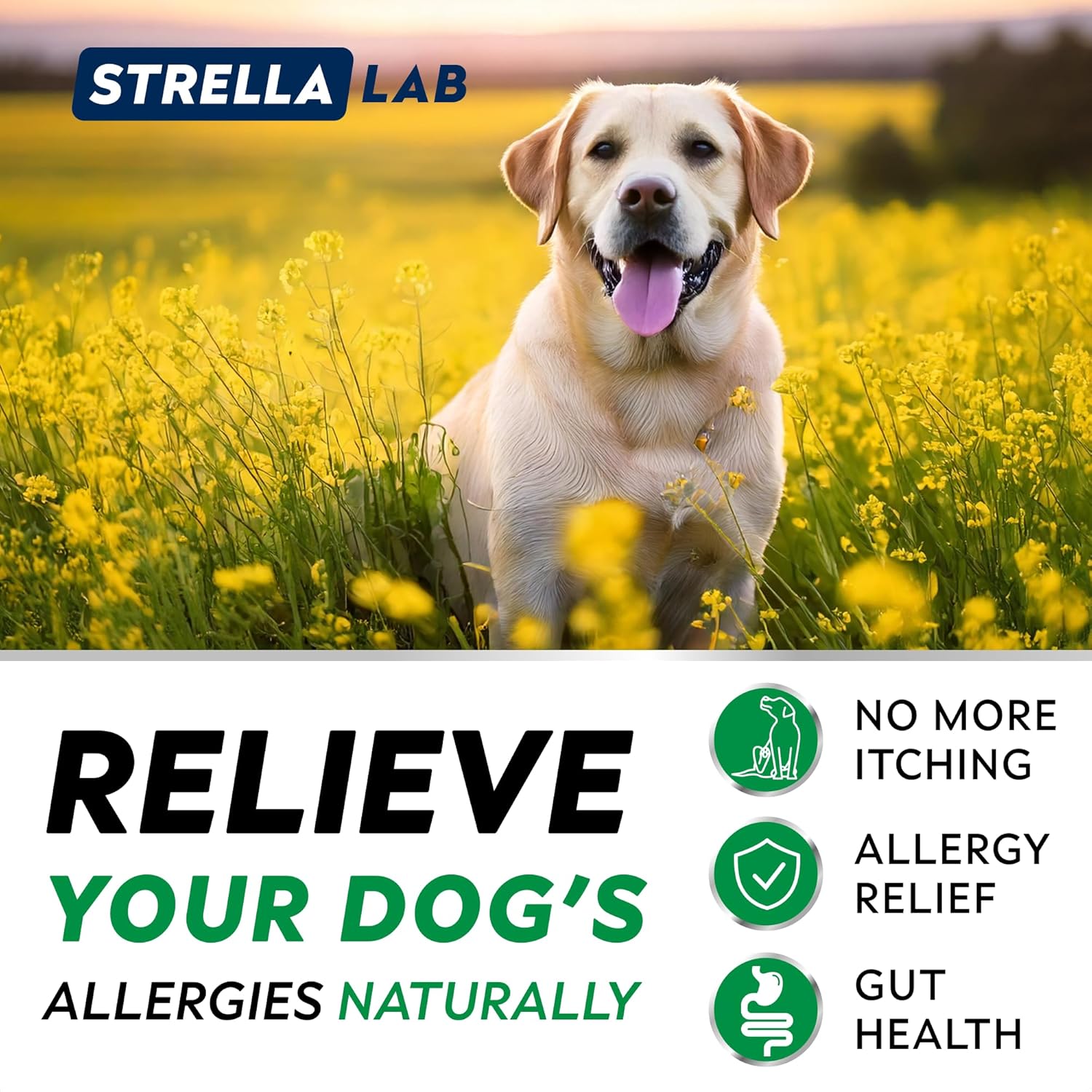 StrellaLab Omega 3 Dog Allergy Relief Chews with Real Ingredients - Skin & Coat Support Supplement - Made in USA - 120 Count