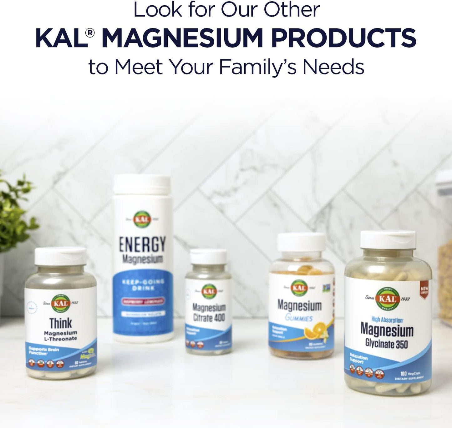Stress B Complex with Magnesium, Coenzyme B-6, Methylcobalamin, and Folate, Mood & Relaxation Support, 60 VegCaps