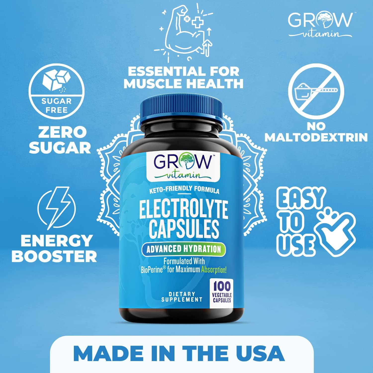 Sugar-Free Electrolyte Capsules for Energy & Hydration - Keto-Friendly Salt Pills with No Maltodextrin - 100 Capsules