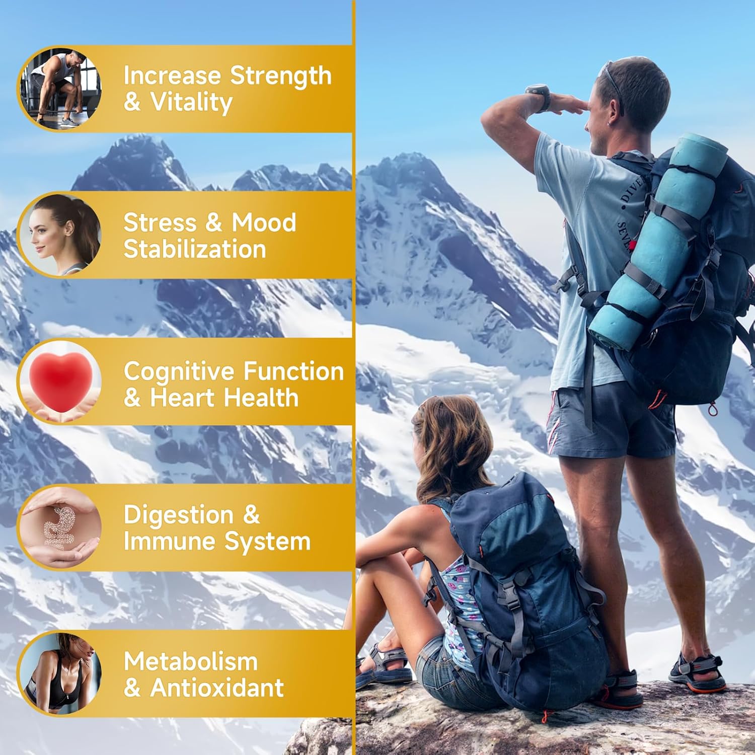 Sugar-Free Himalayan Shilajit Gummies for Energy, Brain & Immunity - 60 Gummies with 85+ Trace Minerals & Fulvic Acid - Men & Women's Supplement - BoostGo Australia
