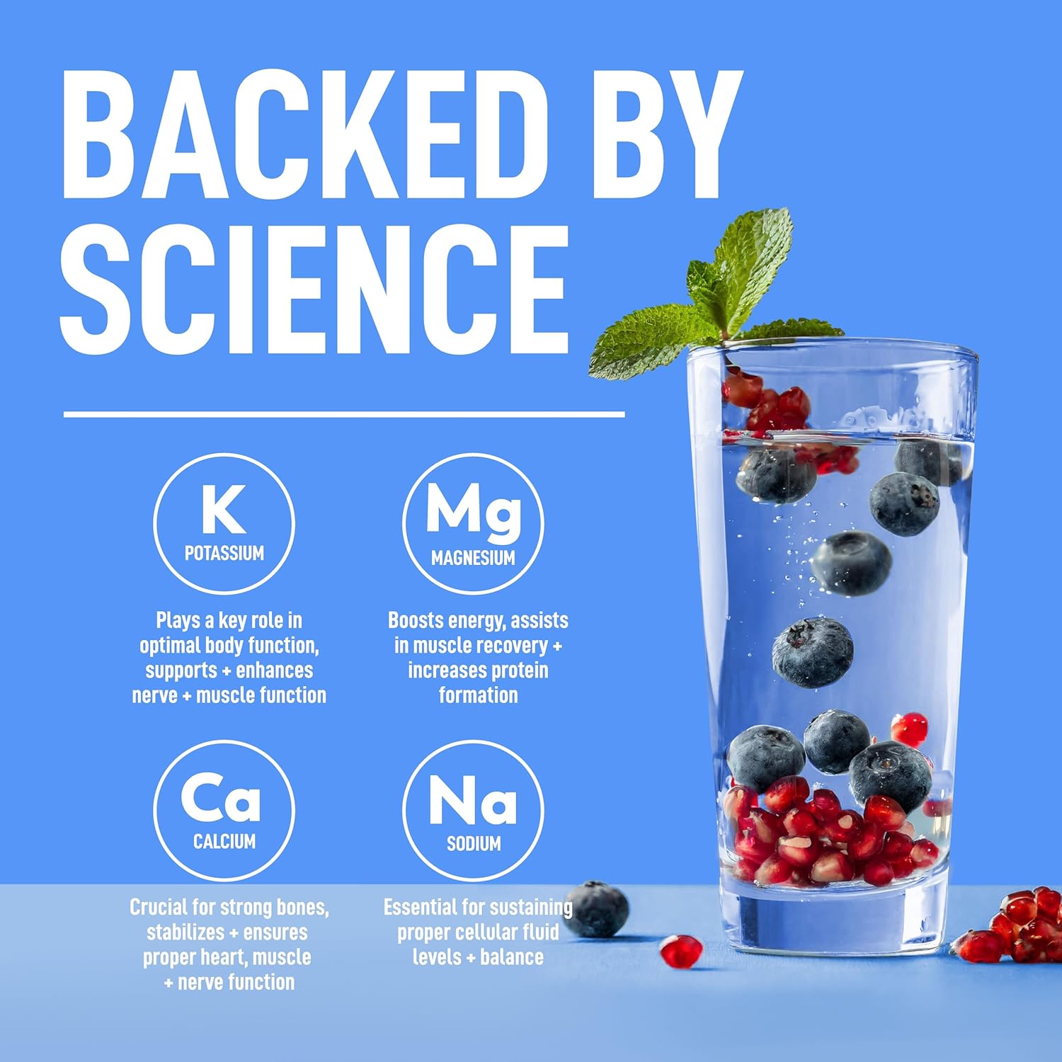 Sugar-Free Keppi Keto Electrolytes Powder for Advanced Hydration & Recovery - Blueberry Pomegranate Flavor - Made in USA - Easy Mixing