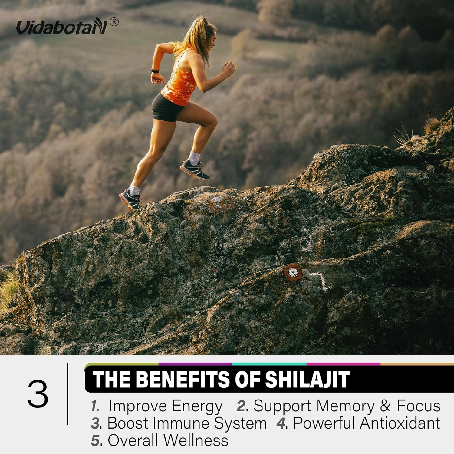Sugar-Free Shilajit Gummies 1000mg with Ashwagandha - Energy & Immunity Support - Mixed Berry Flavor - 120 Gummies
