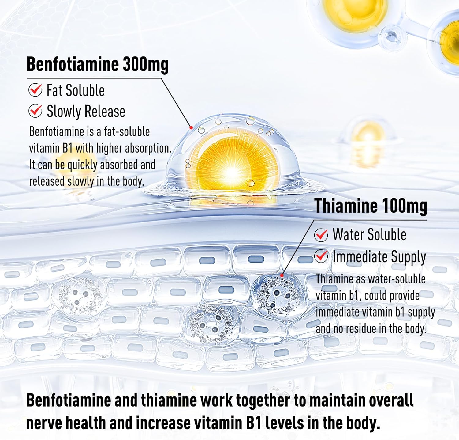 Sugar-Free Vitamin B1 Gummies for Adults - 400mg, Thiamine 100mg & Benfotiamine 300mg, Chewable Energy & Nervous System Health Support, 60 Gummies