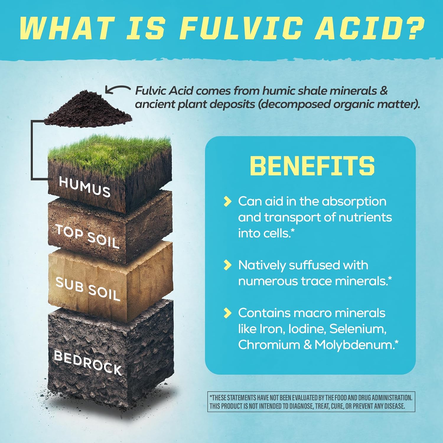 Sunwarrior Fulvic Acid Liquid Trace Minerals Supplement - Vegan Plant Based Mineral Drops 32 Fl Oz