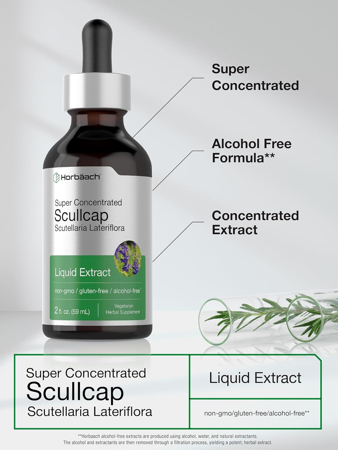 Super Concentrated Skullcap Herb Liquid Extract Tincture - 2 fl oz | Alcohol Free, Vegetarian, Non-GMO, Gluten Free | Horbäach Skullcap Supplement