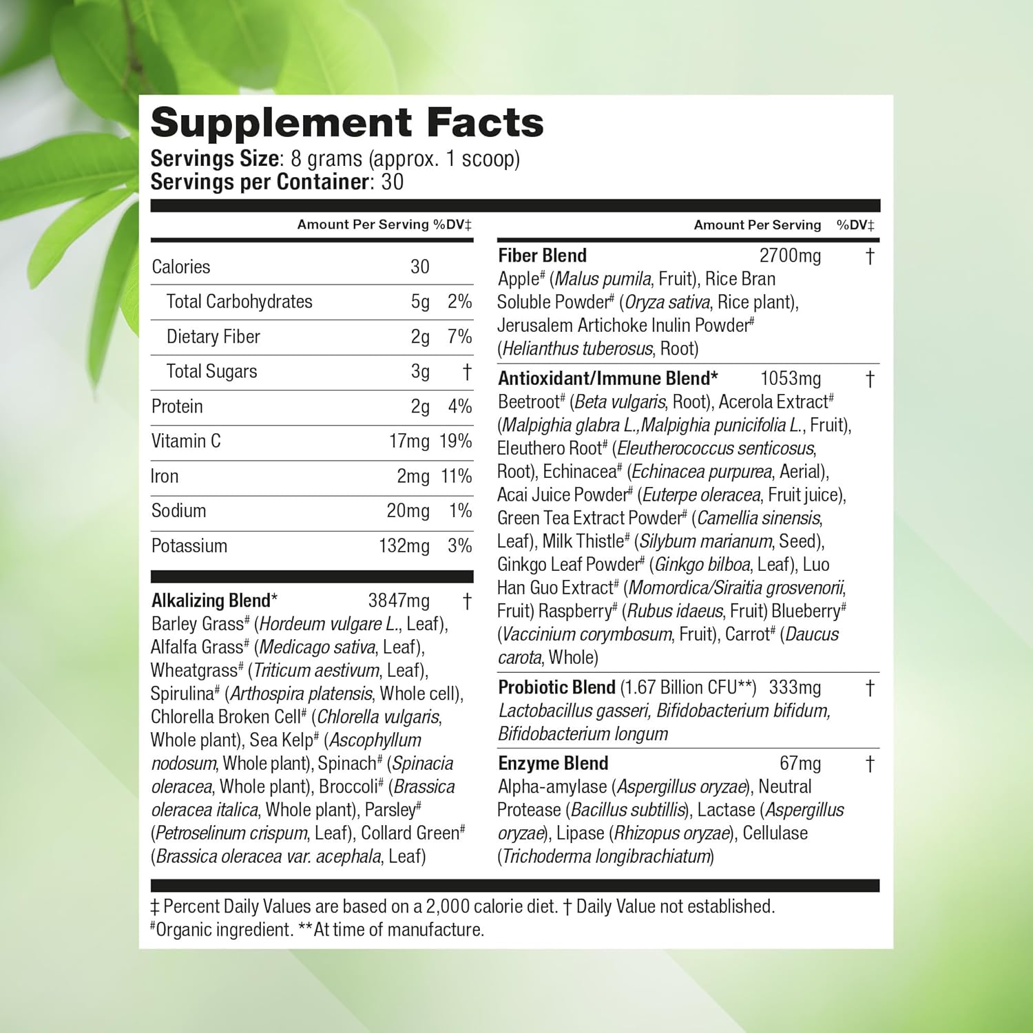 Super Greens & Choline Bundle | Organic Superfood Powder with Probiotics, Fiber & Choline Bitartrate for Cognitive Function & Energy Boost