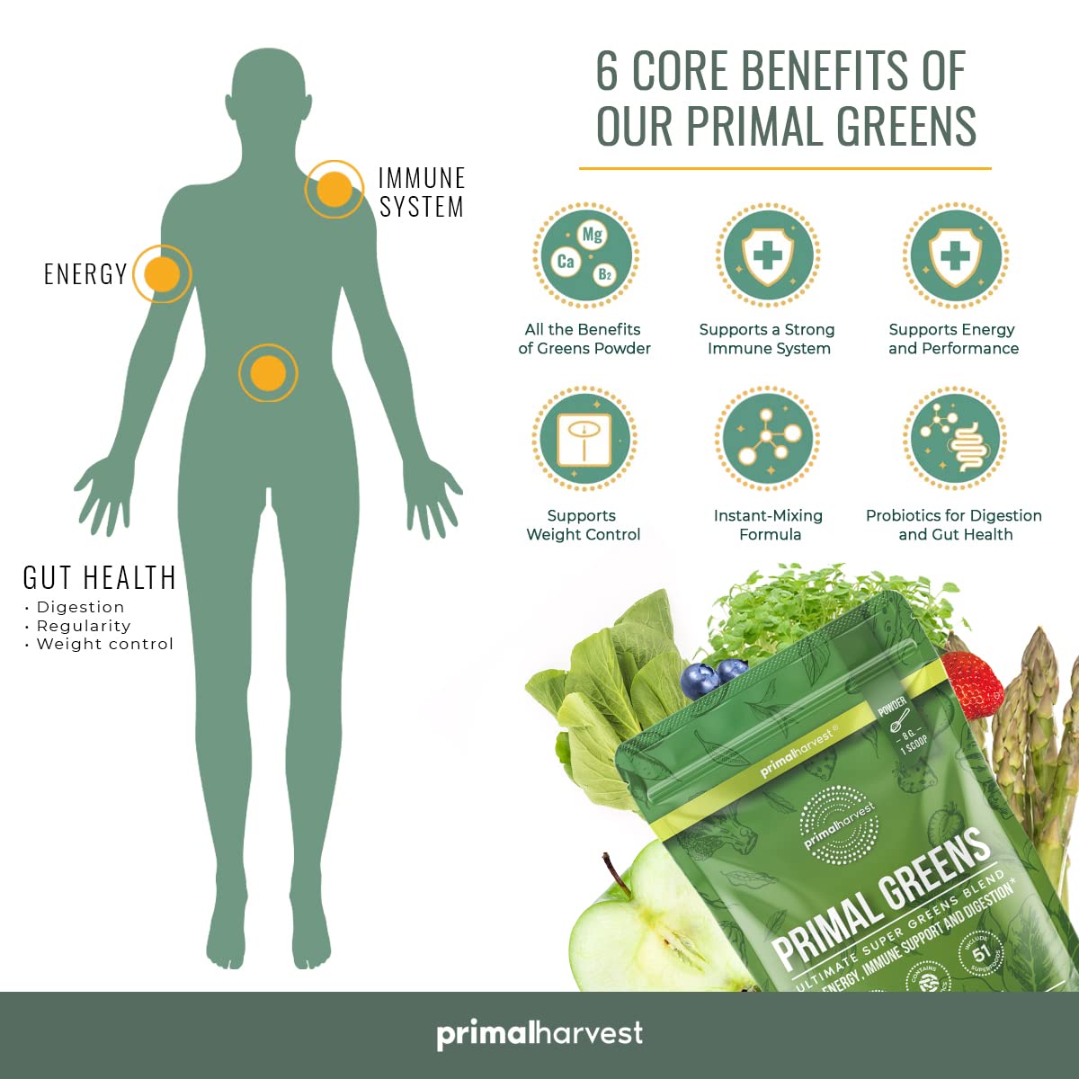 Super Greens & Collagen Powder Bundle for Hair, Skin, and Nails - Primal Harvest Men and Women Superfood Supplements