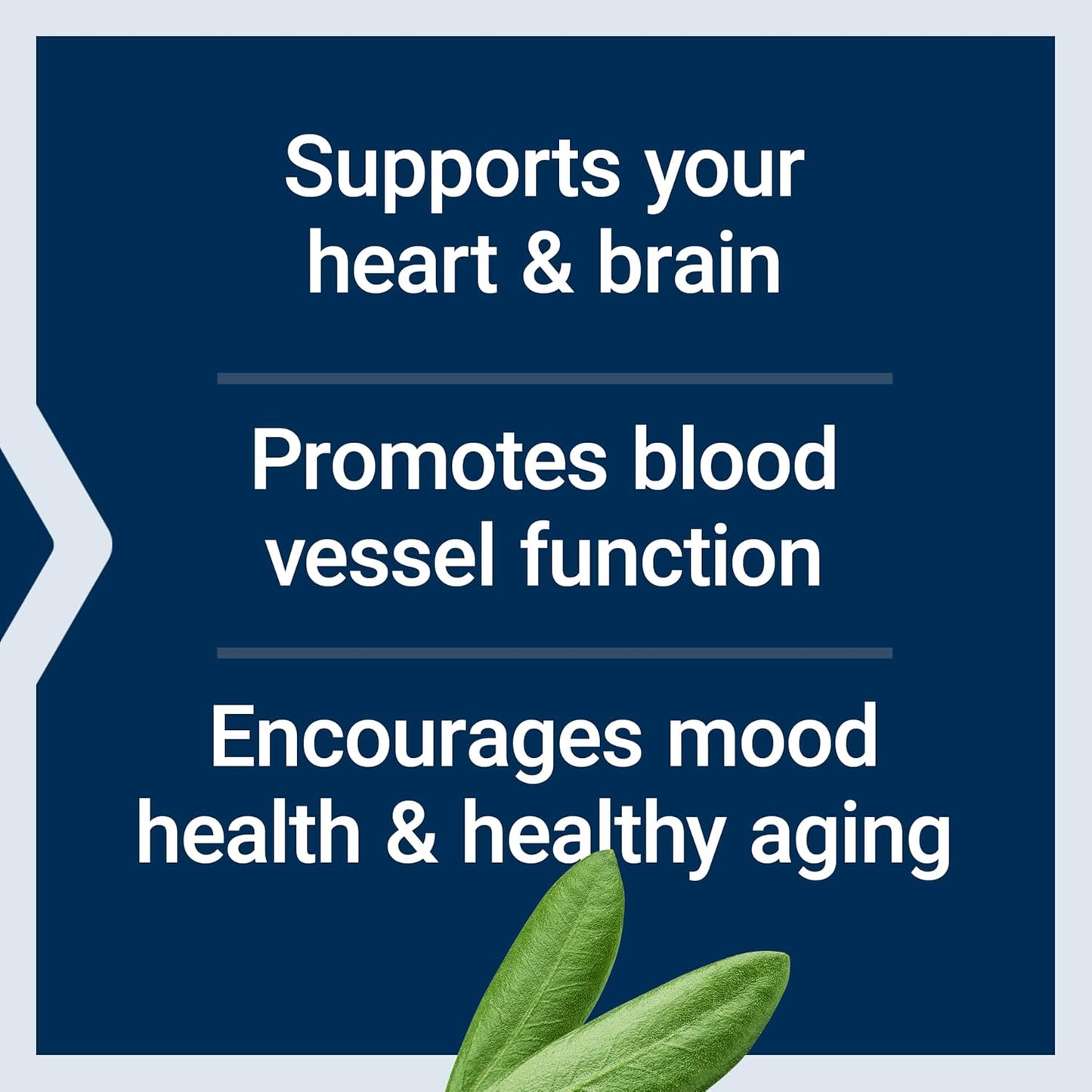 Super Omega-3 Fish Oil with Sesame Lignans & Olive Extract - Heart, Brain, and Inflammation Support - 60 Softgels