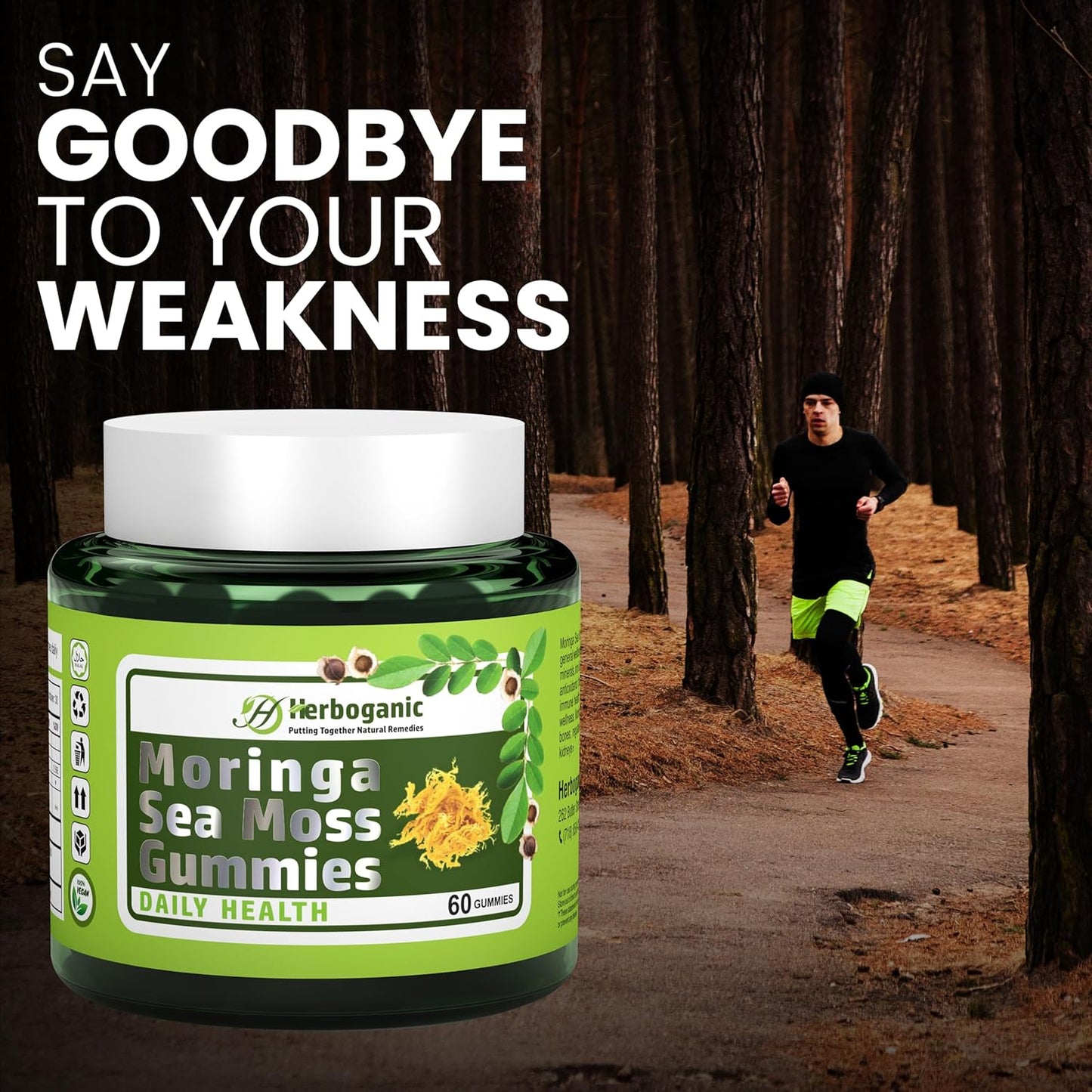 Superfood Green Supplement: HERBOGANIC Moringa Sea Moss Gummies with Fiber & Immune Support - 60 Count