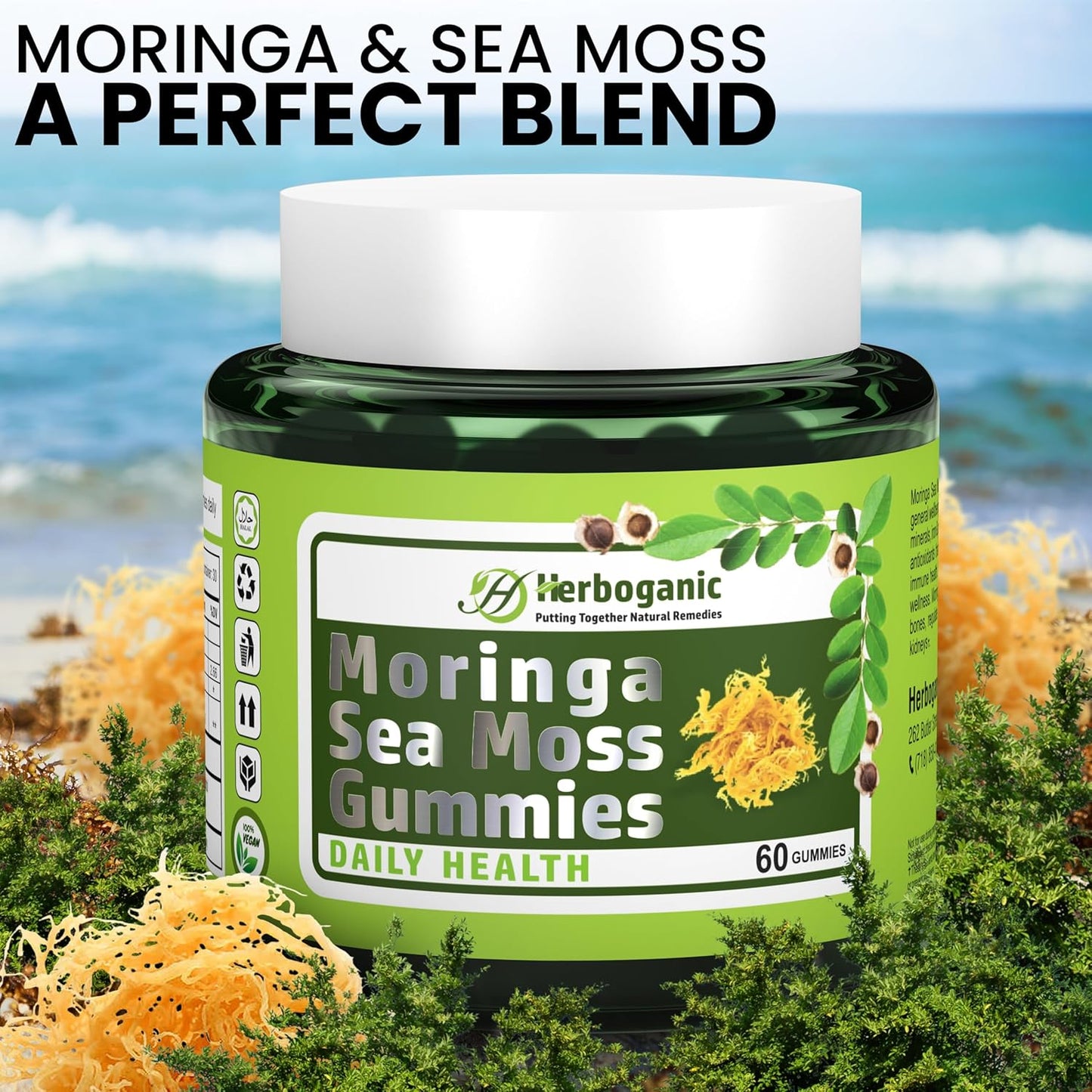 Superfood Green Supplement: HERBOGANIC Moringa Sea Moss Gummies with Fiber & Immune Support - 60 Count