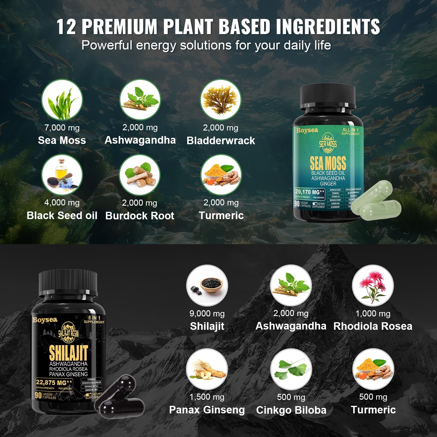 Superfood Supplement Bundle: Geloo 90 Sea Moss & Shilajit Capsules (Black Seed Oil, Ashwagandha) - 4 Pack