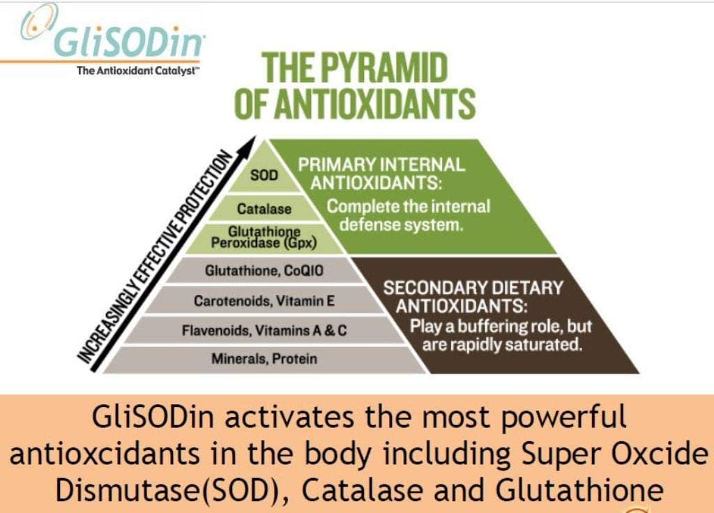 Superlifeworld Stem Cell Supplement 4 Pack - Boost Immunity with Superlife Stc30 - 30 Sachets per Pack - 15 Sachets in 1 Pack