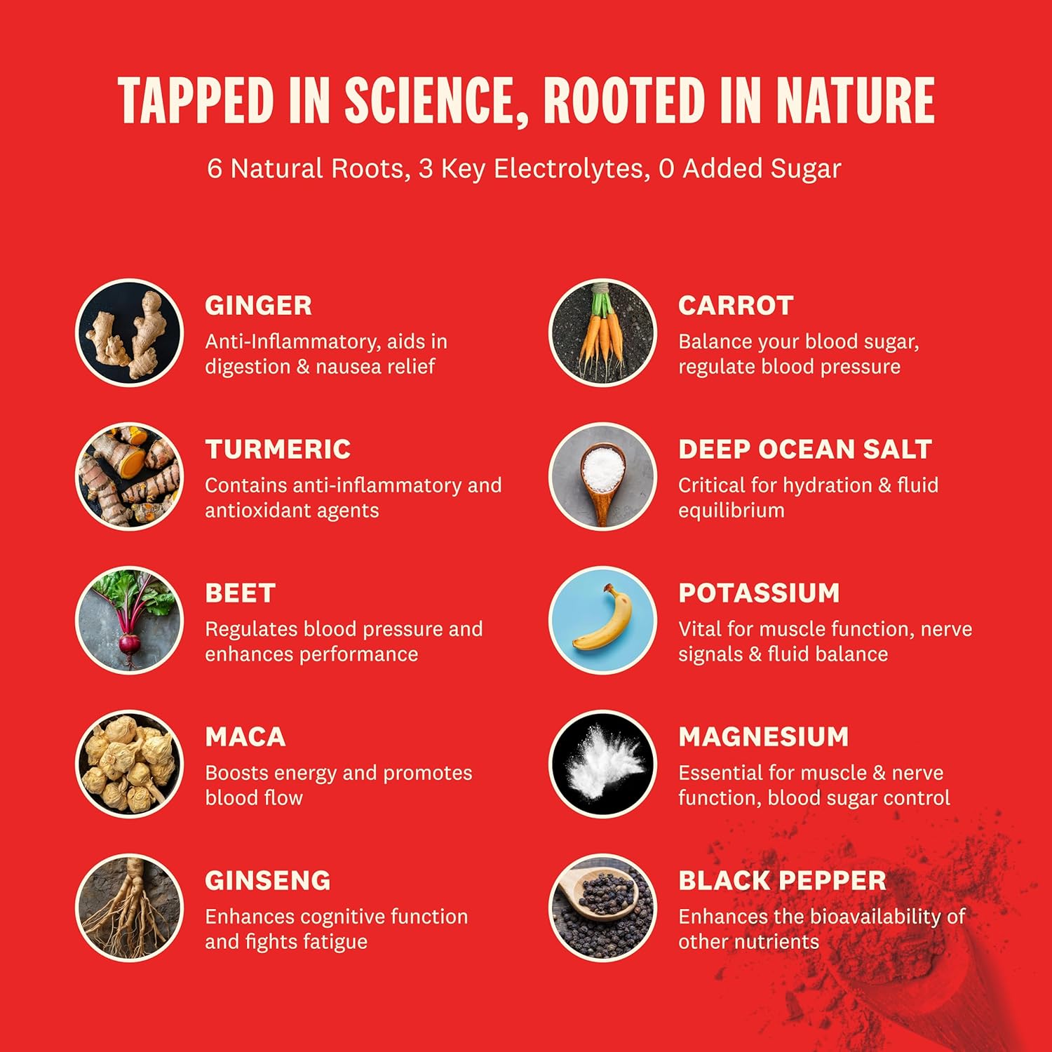 Superoot Ginger & Citrus Flavored Electrolytes with Deep Ocean Minerals, Antioxidants, and Vitamin C for Detox & Immunity Boost | Caffeine-Free Energy & Hydration Drink with 0 Added Sugar | 30 Servings