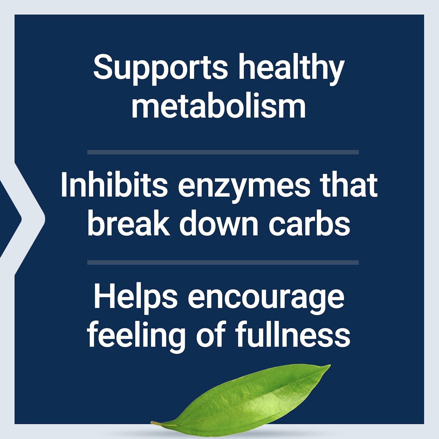 Support Healthy Metabolism & Satiety with Life Extension CinSulin® 90 Capsules, Gluten-Free & Non-GMO