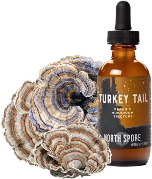 Sustainably Grown Organic Turkey Tail Tincture for Immune Support - 2oz Vegan Mushroom Supplement with Confirmed Potency
