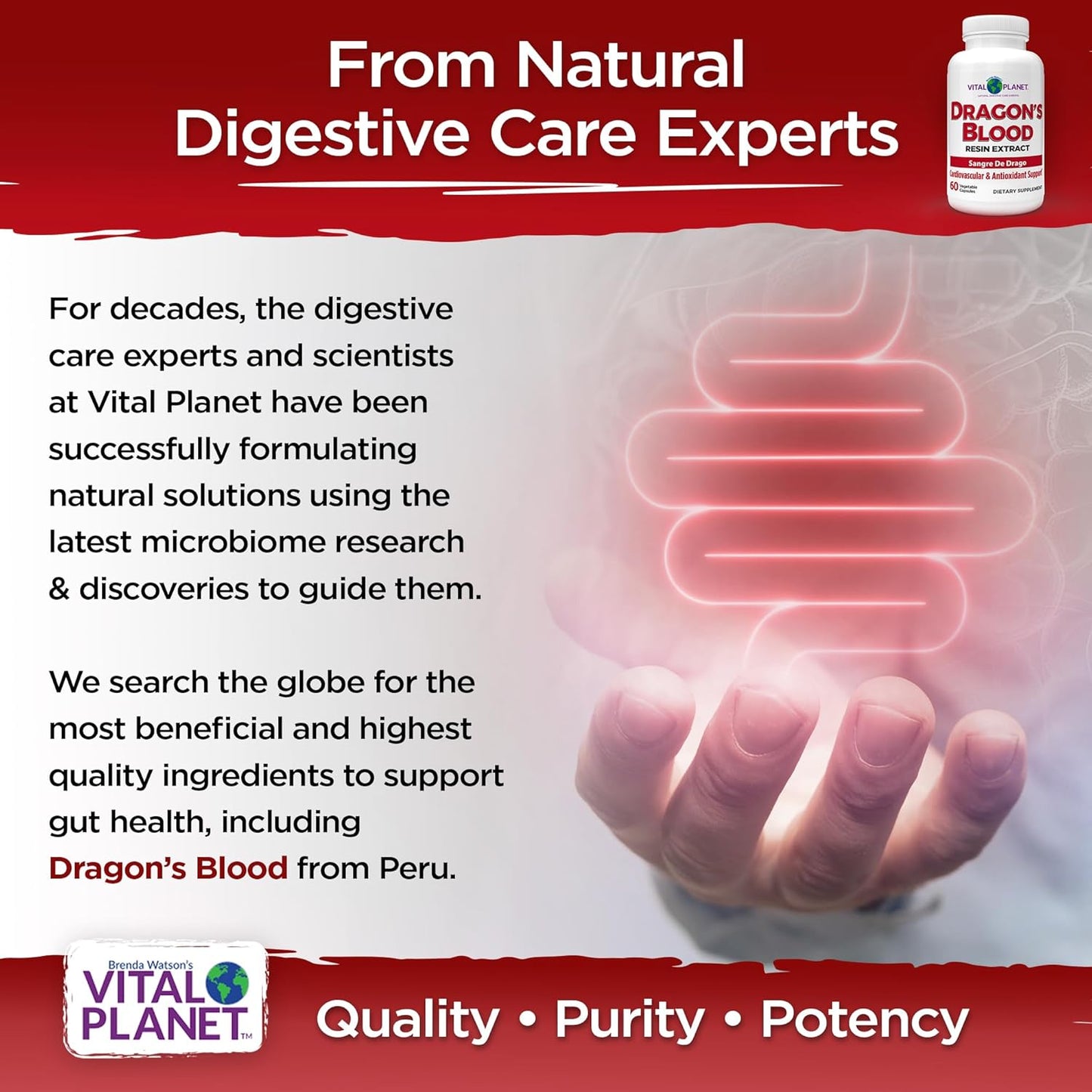 Sustainably Sourced Dragon's Blood Resin Extract Capsules for Digestive Health - 500mg, 60ct from Rainforest of Peru